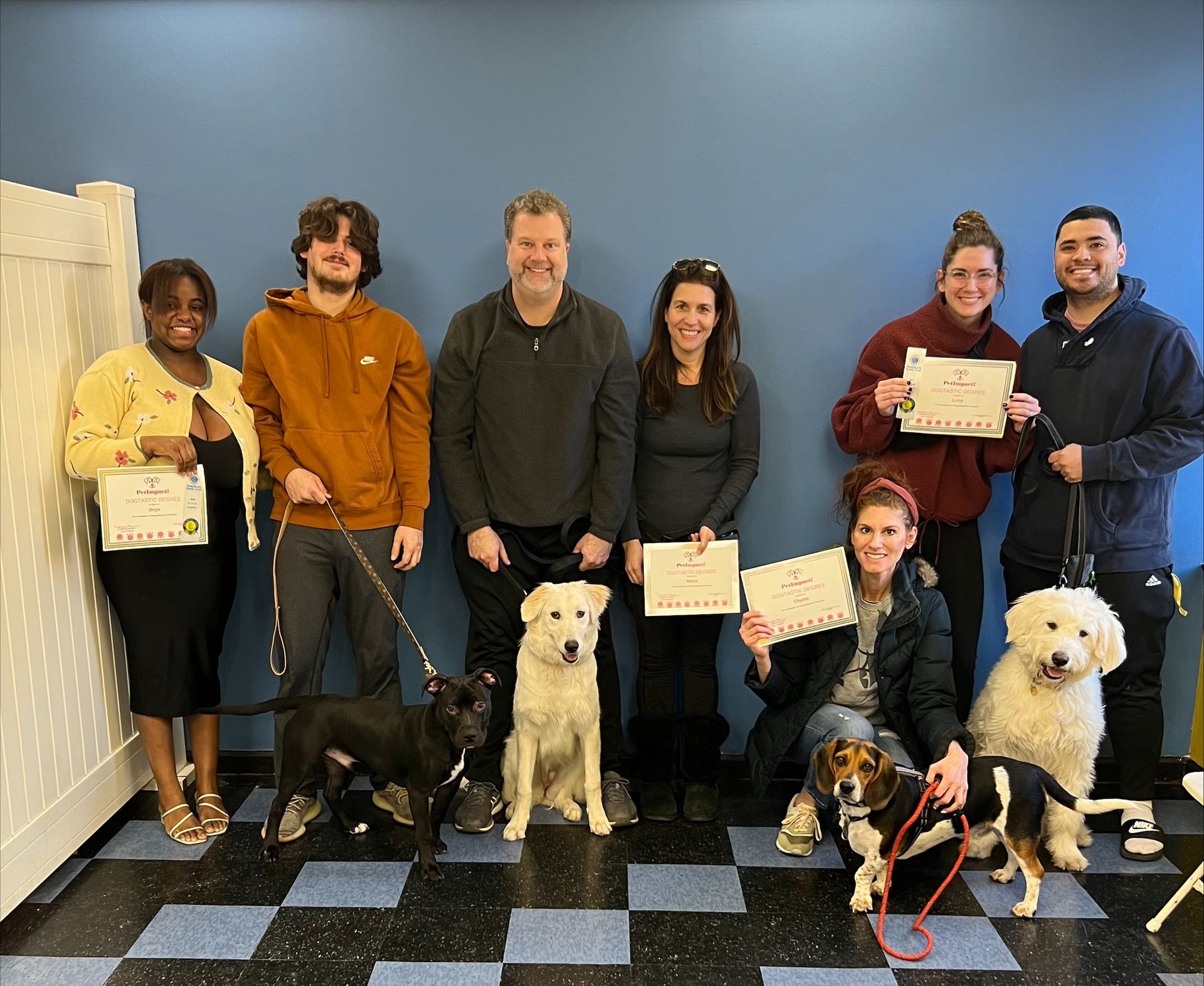 Group of People With Their Dogs — St. Louis, MO — PetImpact! Dog Training
