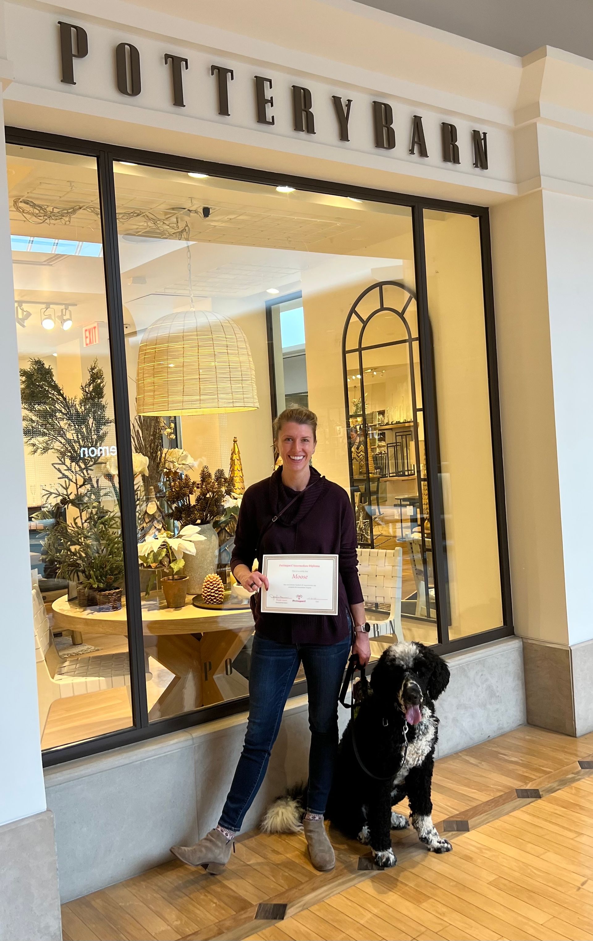 Newly Graduated Black Dog with Certificate — St. Louis, MO — PetImpact! Dog Training