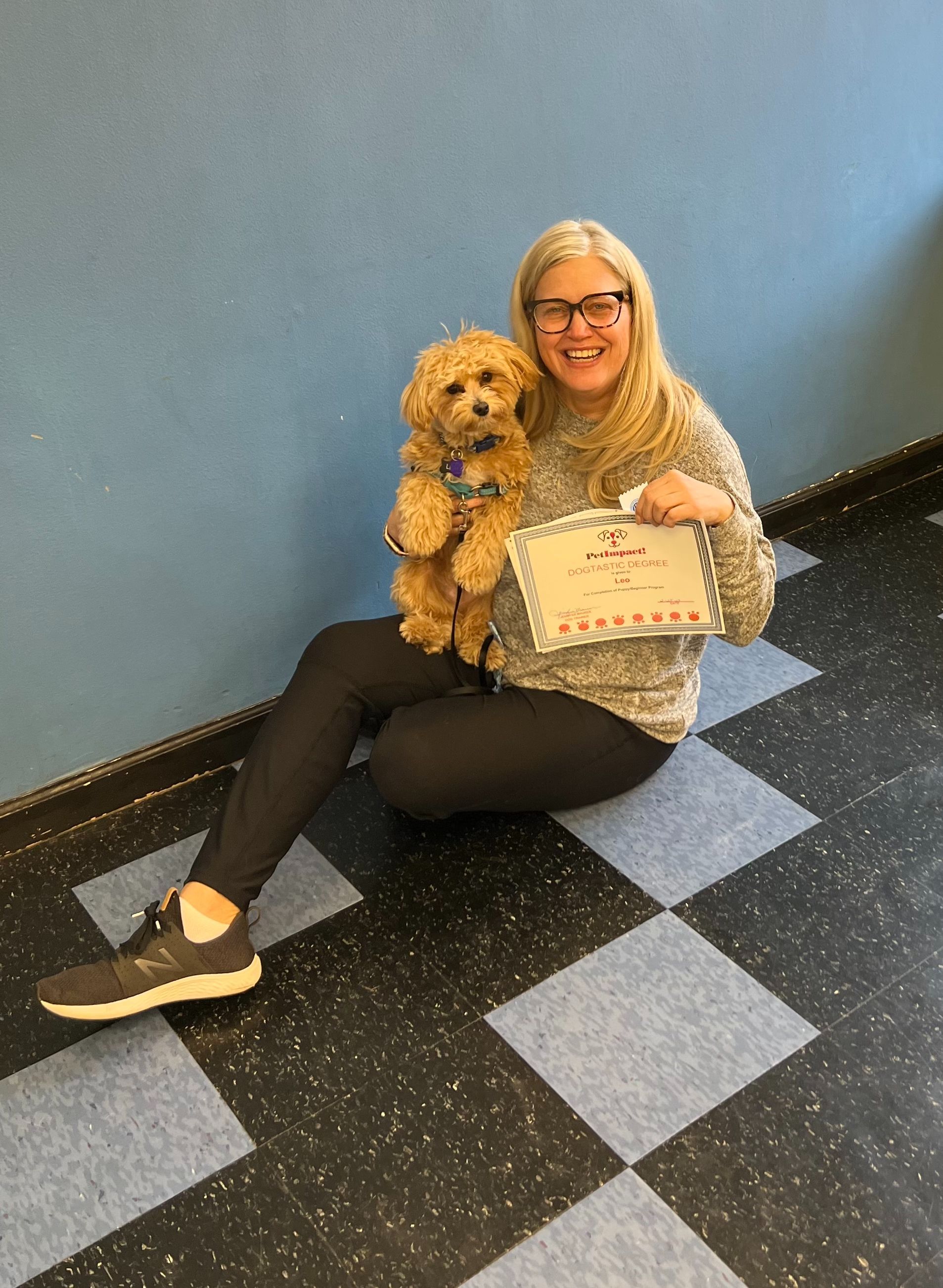 Owner With Her Cute Dog — St. Louis, MO — PetImpact! Dog Training
