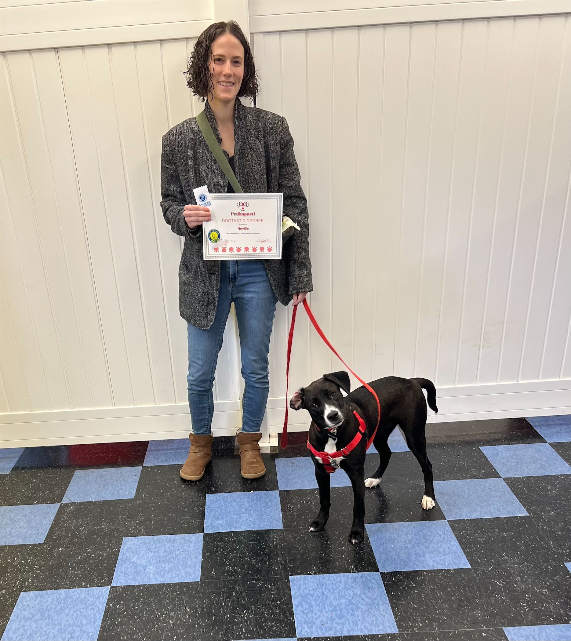 Dog with His Fur Parent— St. Louis, MO — PetImpact!