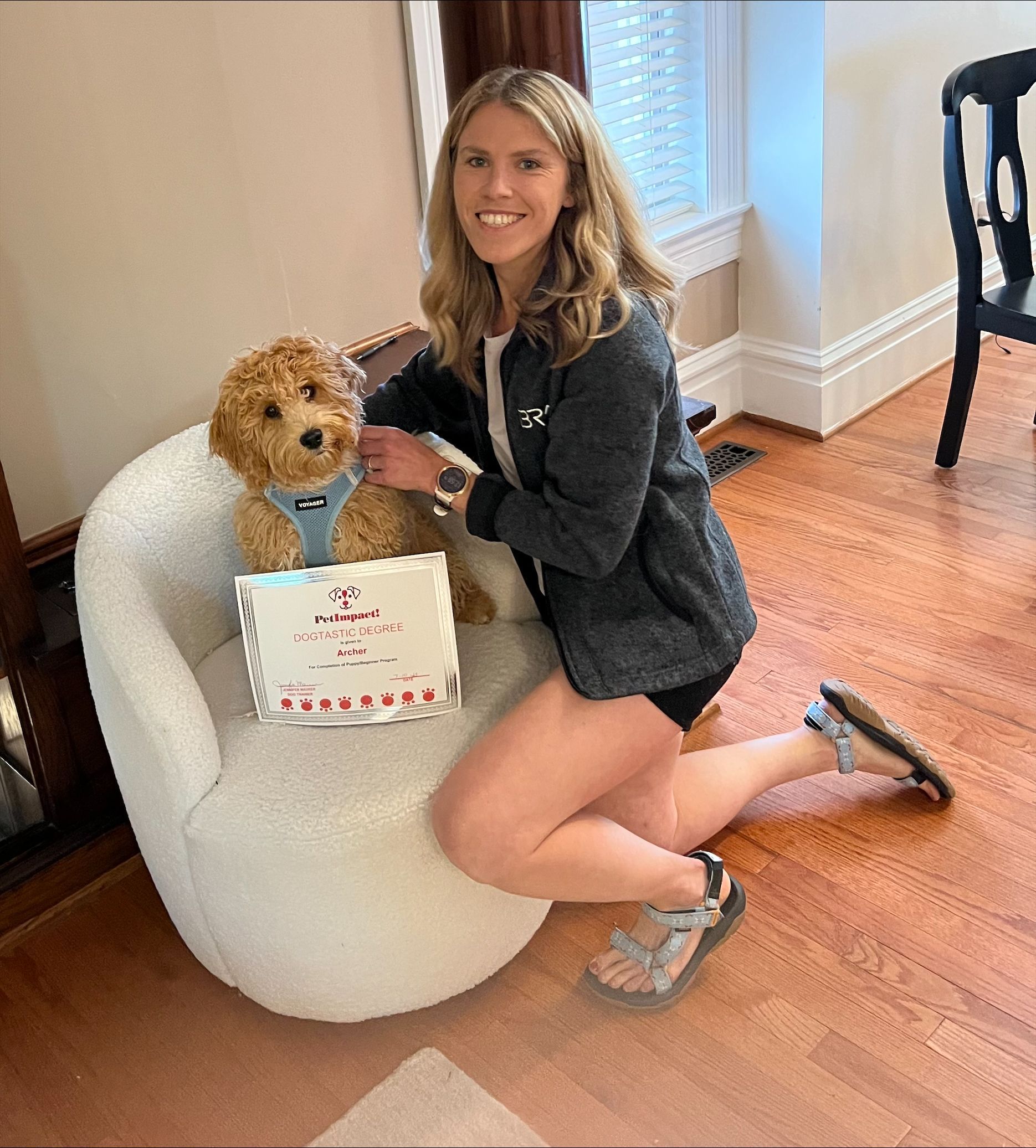 Archer with Dogtastic Degree — St. Louis, MO — PetImpact!