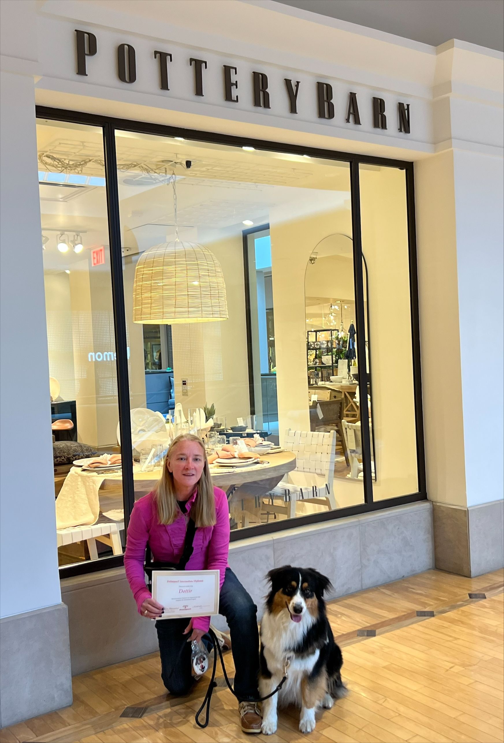Woman and dog pose in front of Pottery Barn. Woman kneels, holding certificate; dog sits. Store window reflects interior.