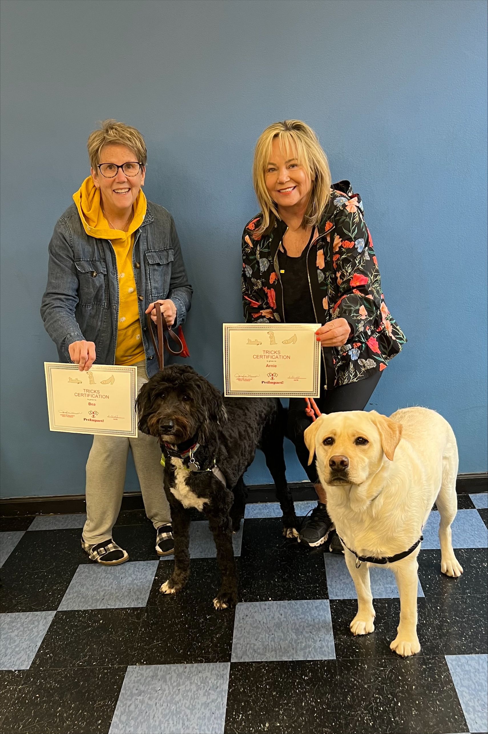 Two People and a Dog — St. Louis, Mo — Petimpact!