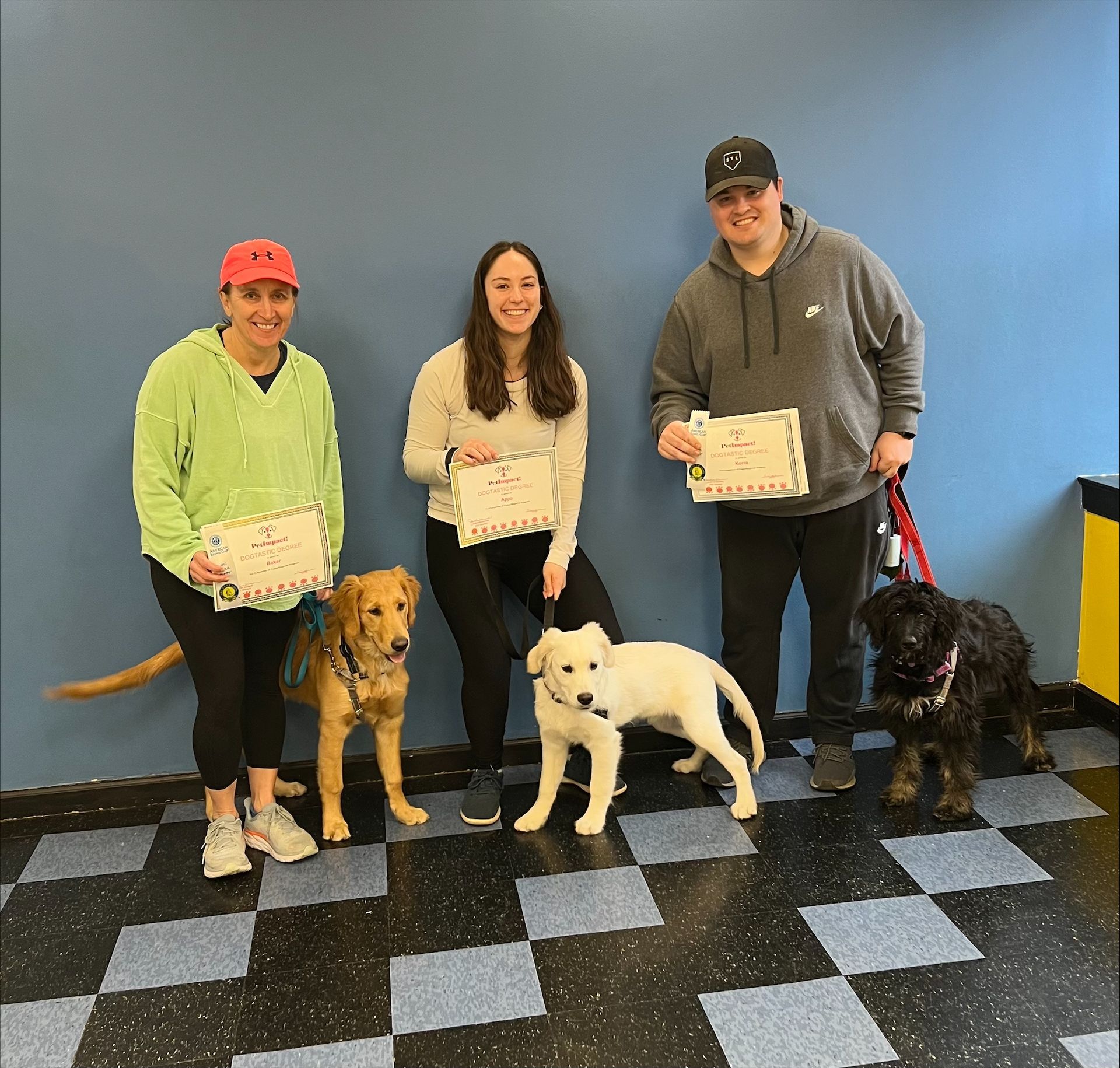 Group photo— St. Louis, MO — PetImpact! Dog Training