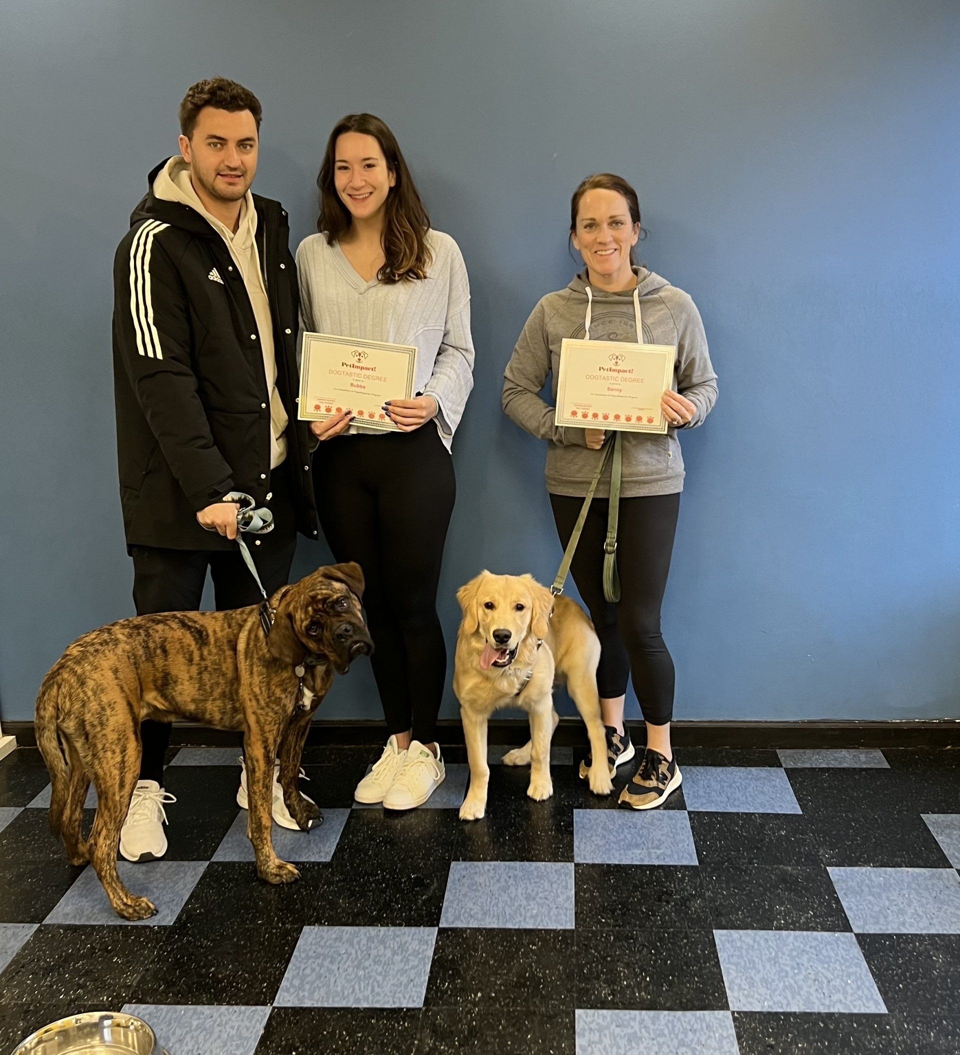 Newly Graduated Dogs — St. Louis, MO — PetImpact! Dog Training