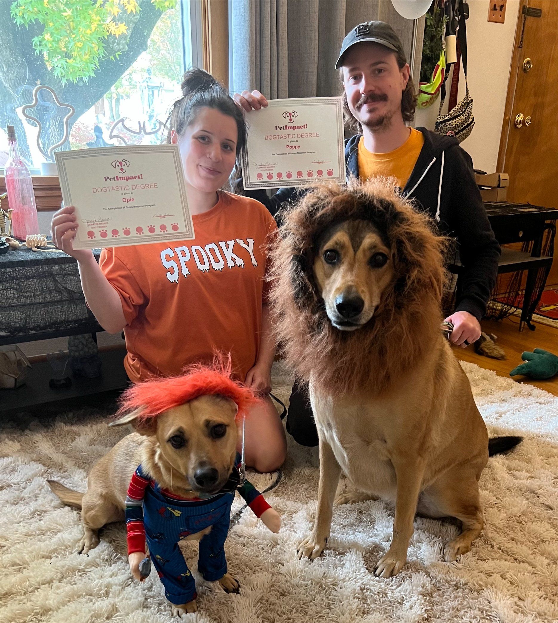 Couple Holding Their Dog Certificates — St. Louis, MO — PetImpact! Dog Training