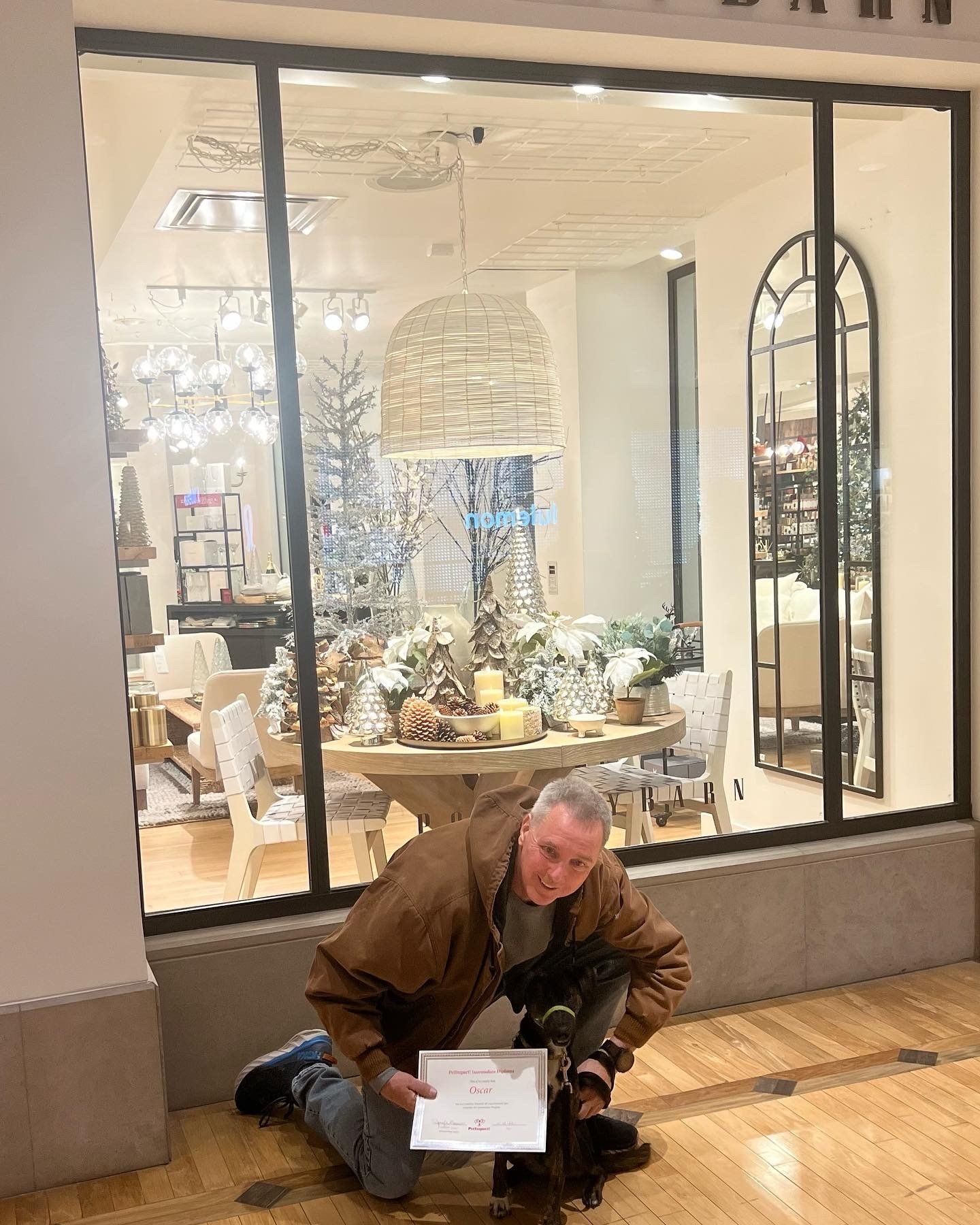 Kneeling Man with Newly Graduated Black Dog — St. Louis, MO — PetImpact! Dog Training