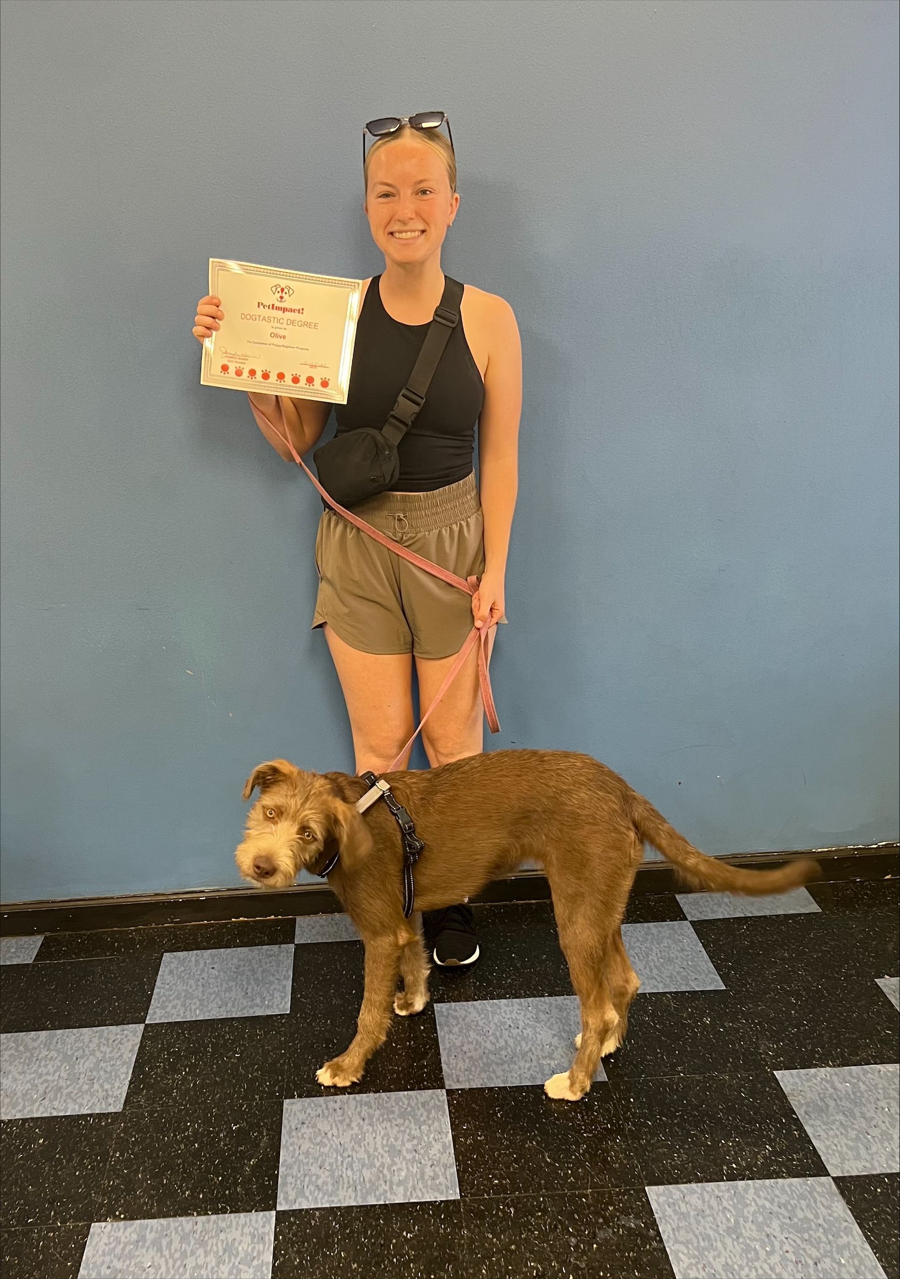 Olive with Dogtastic Degree — St. Louis, MO — PetImpact!