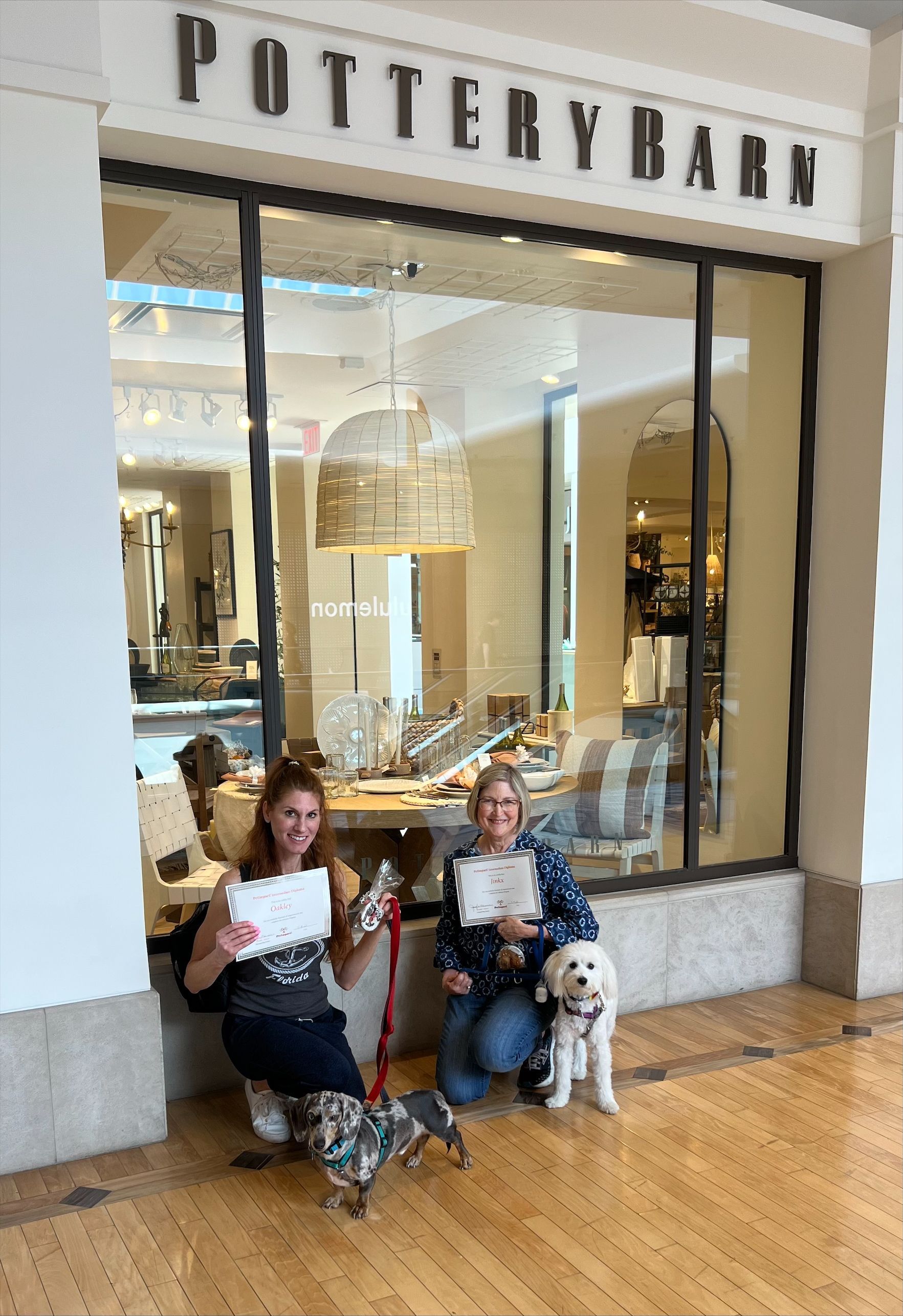 Oakley and Jinkx with Dogtastic Degree — St. Louis, MO — PetImpact!