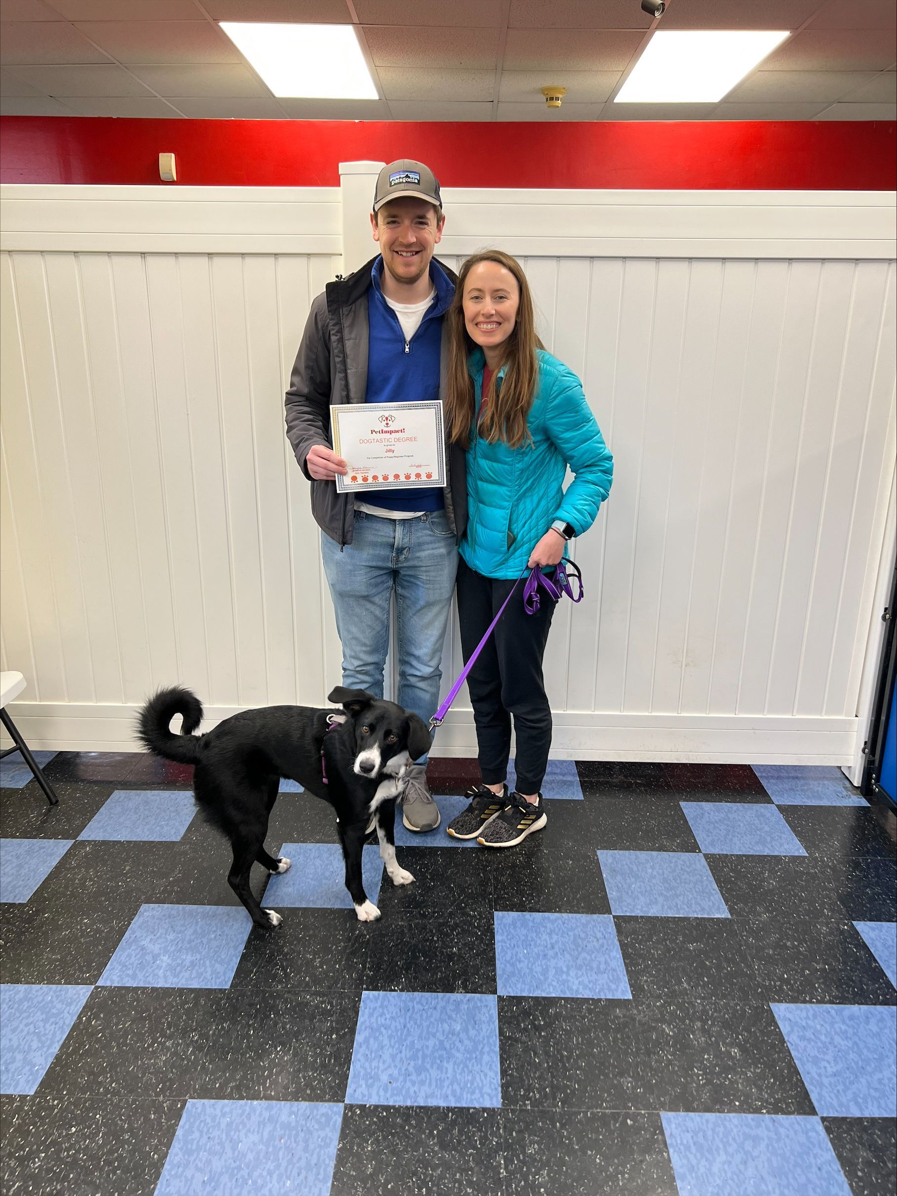 Black Dog And The Couple Owner — St. Louis, MO — PetImpact! Dog Training