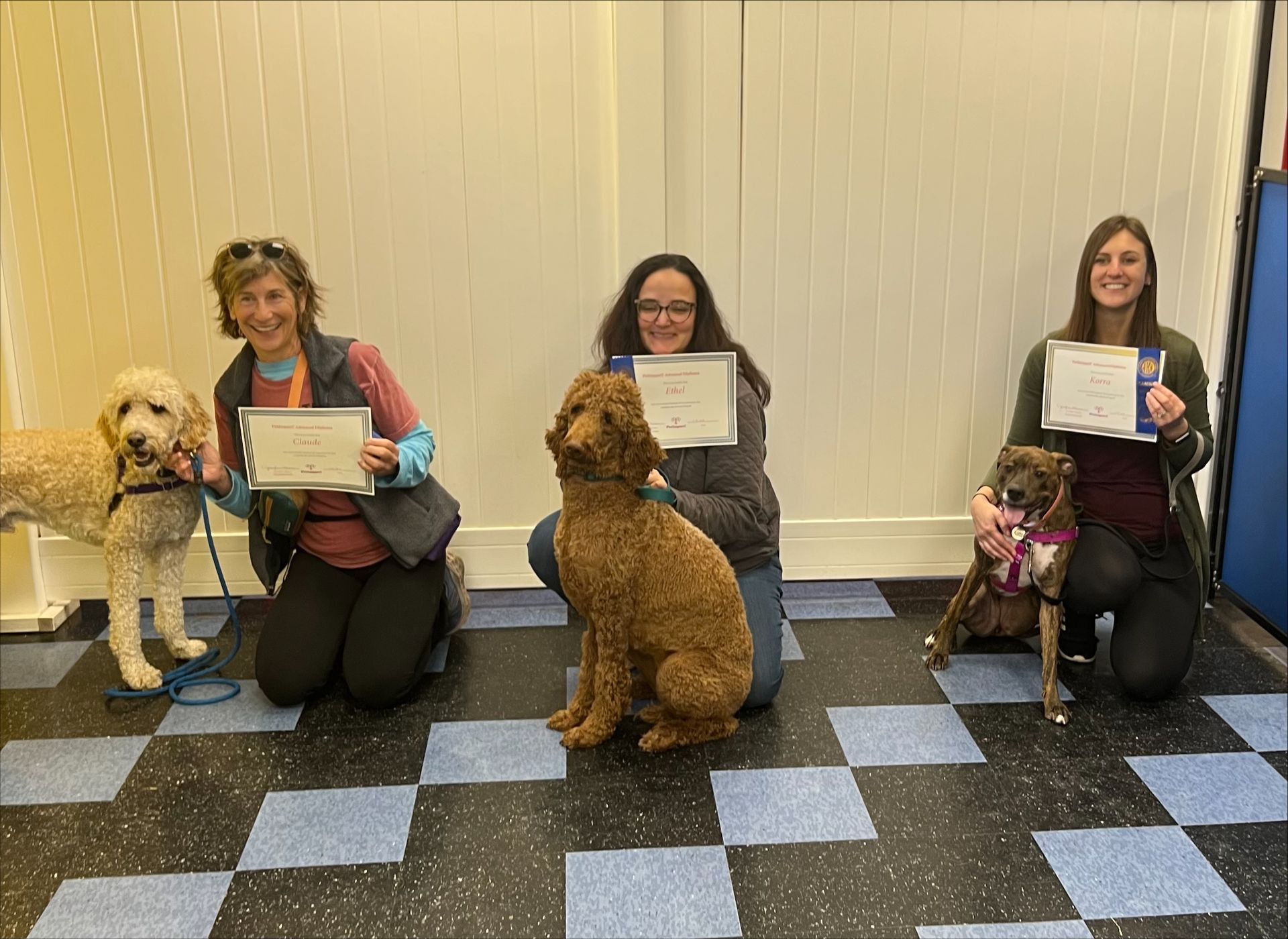Three people kneel with their dogs, each holding certificates. They are in a room with blue and black checkered flooring and a white wall.