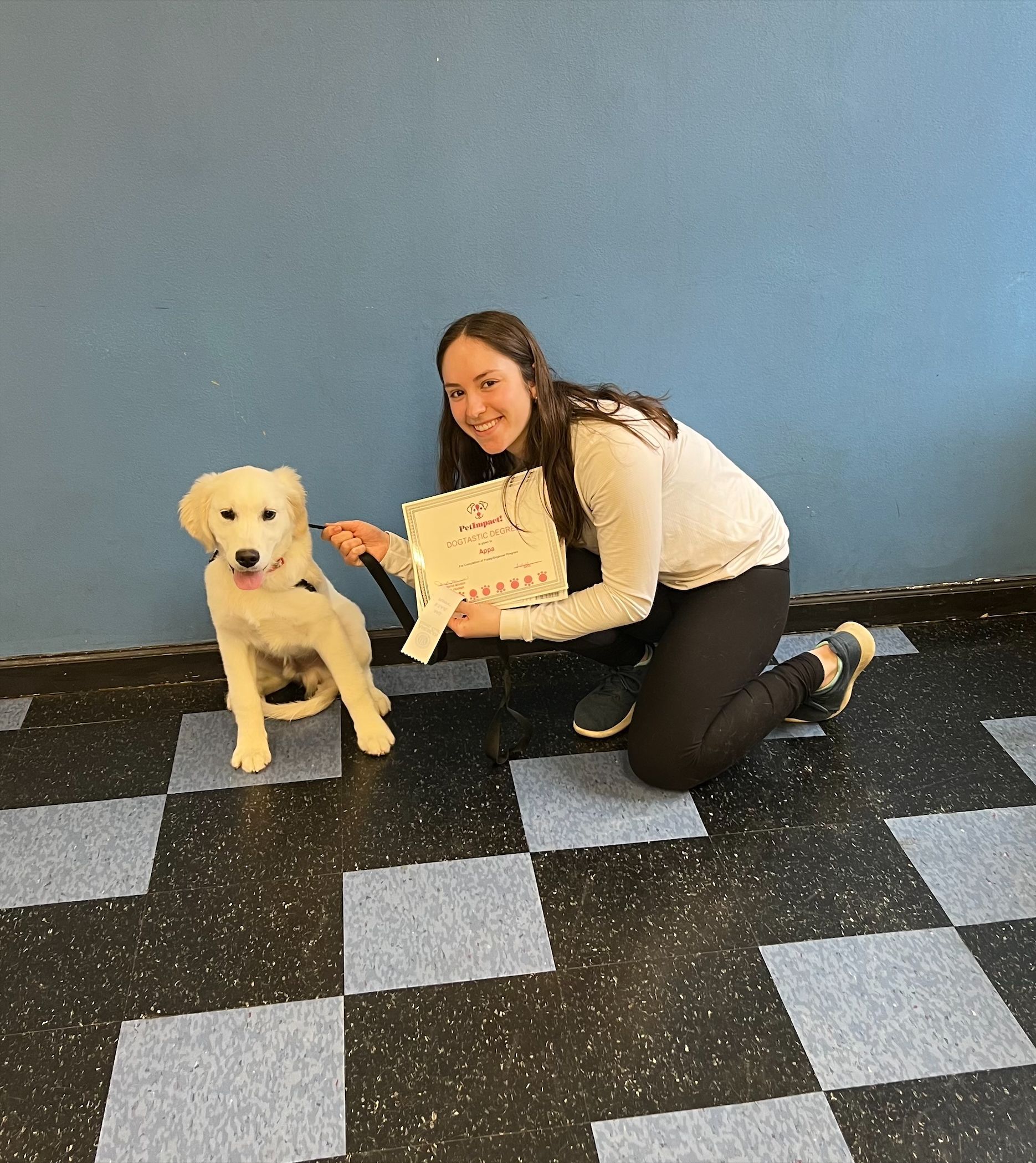 Photo of a girl and a dog — St. Louis, MO — PetImpact! Dog Training