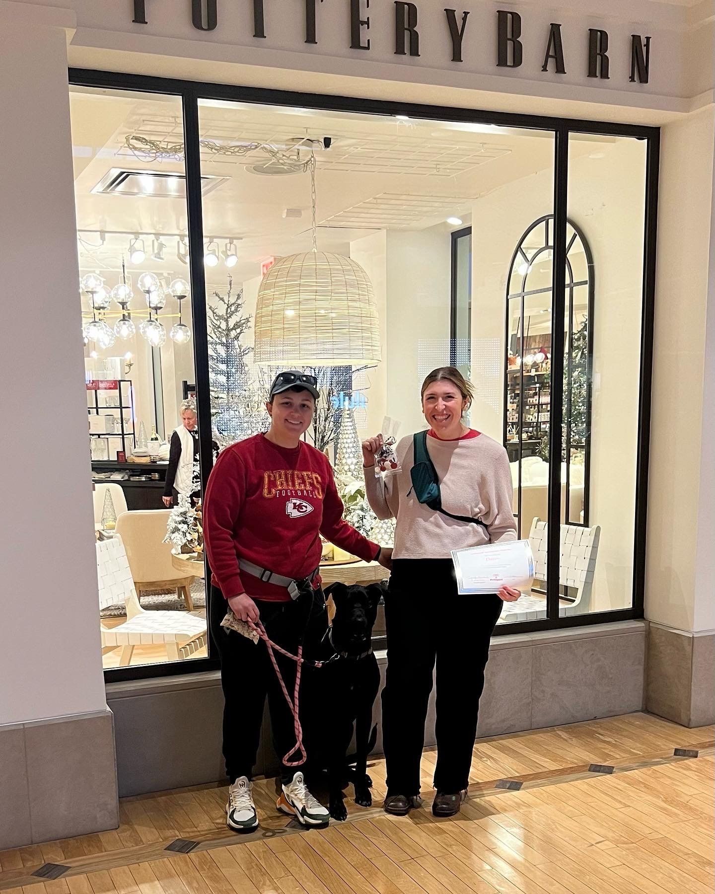 Newly Graduated  Big Black Dog with the Fur Parent — St. Louis, MO — PetImpact! Dog Training