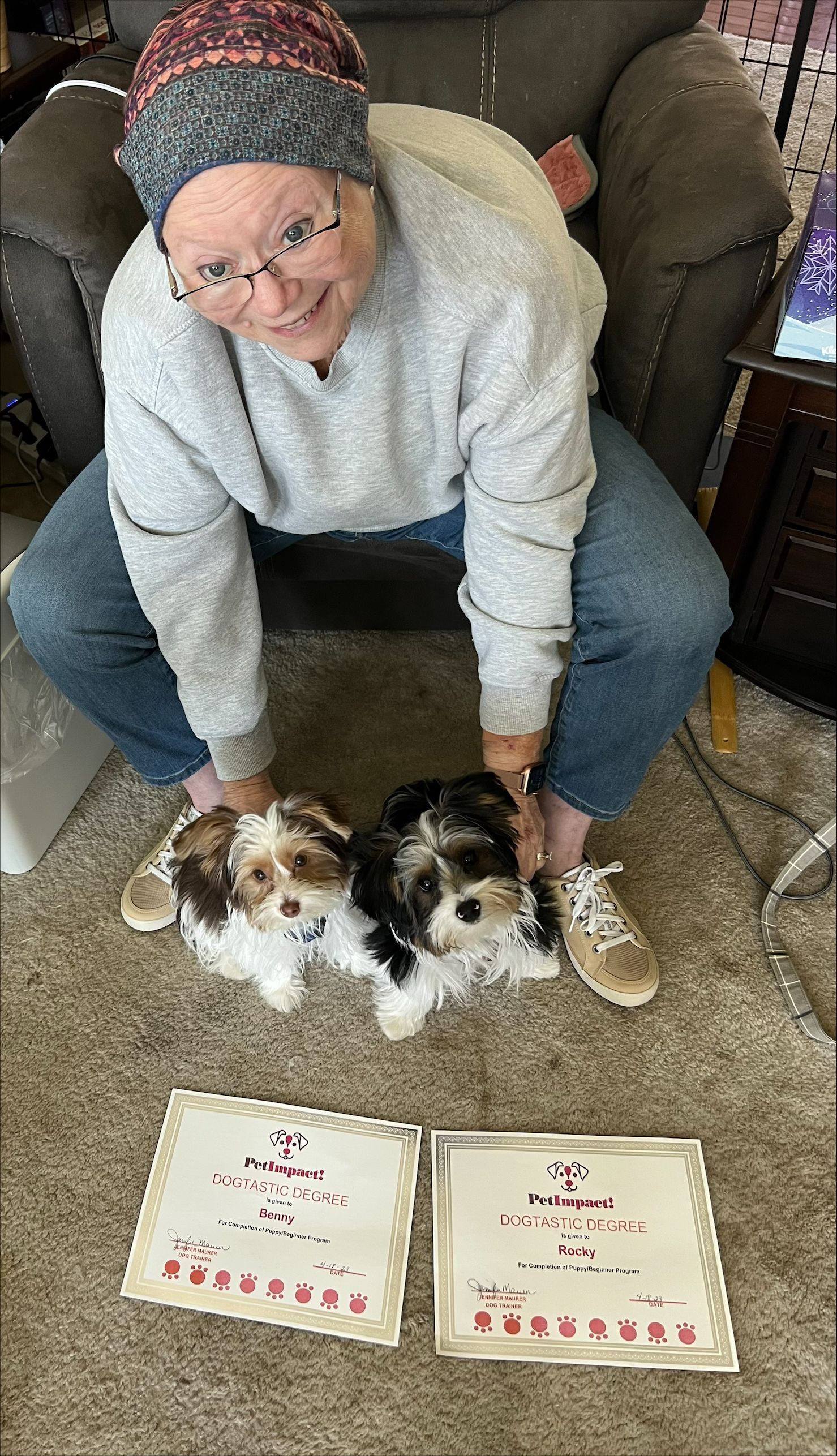 Dogs with Their Female Owner — St. Louis, MO — PetImpact!