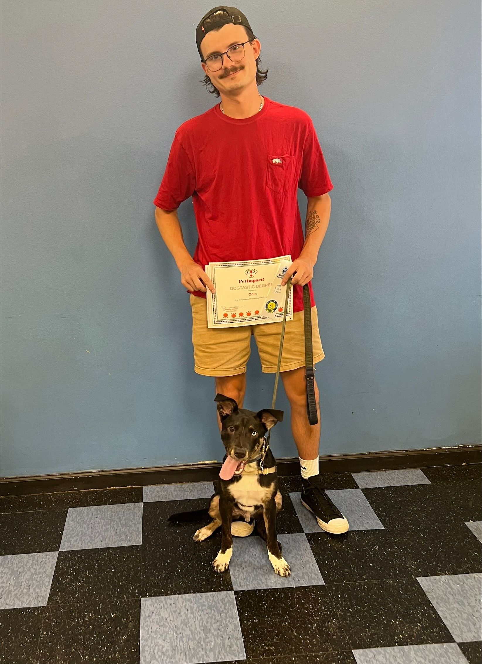 Odin with Dogtastic Degree — St. Louis, MO — PetImpact!
