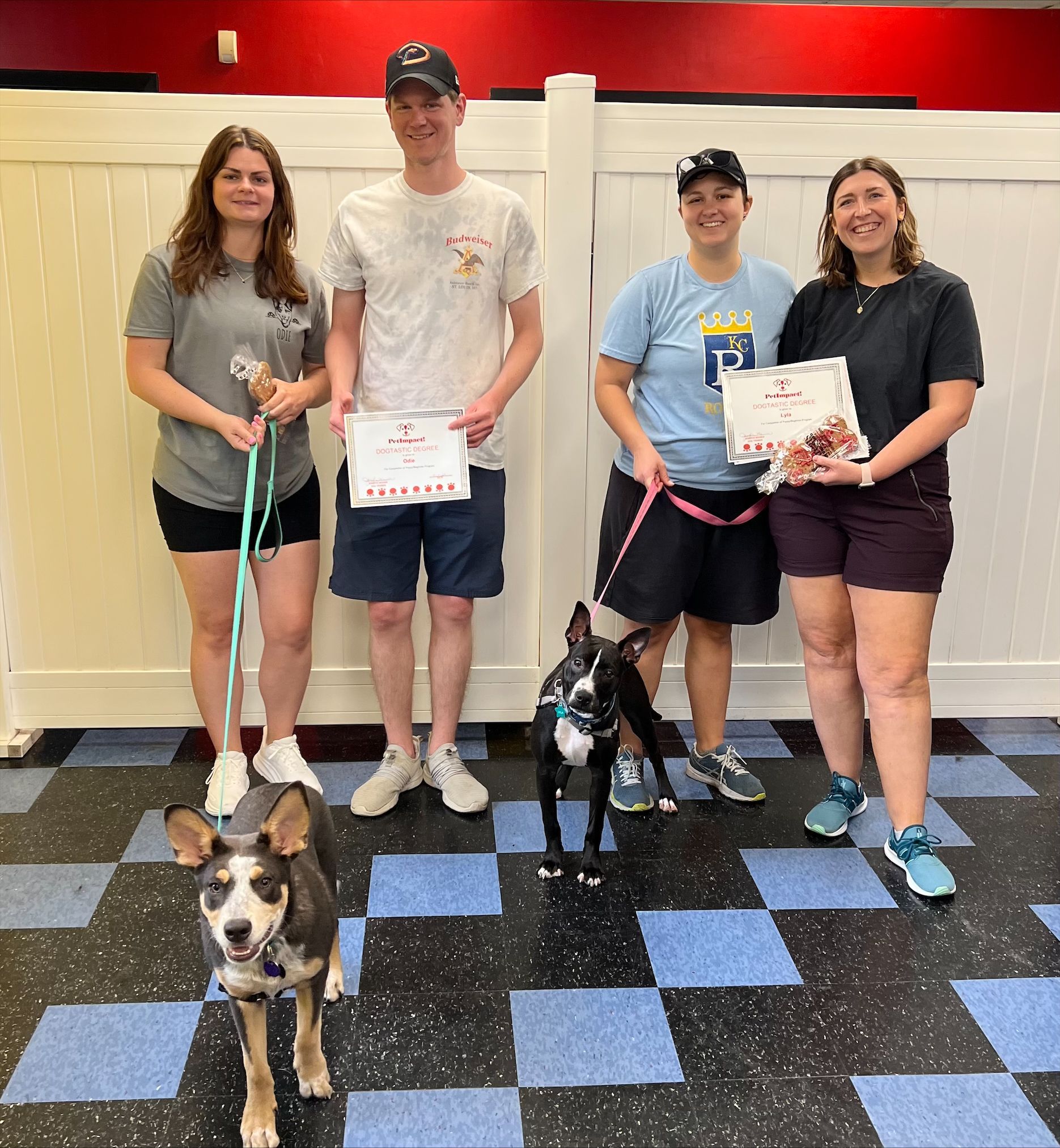 Odie and Lyla with Dogtastic Degree — St. Louis, MO — PetImpact!