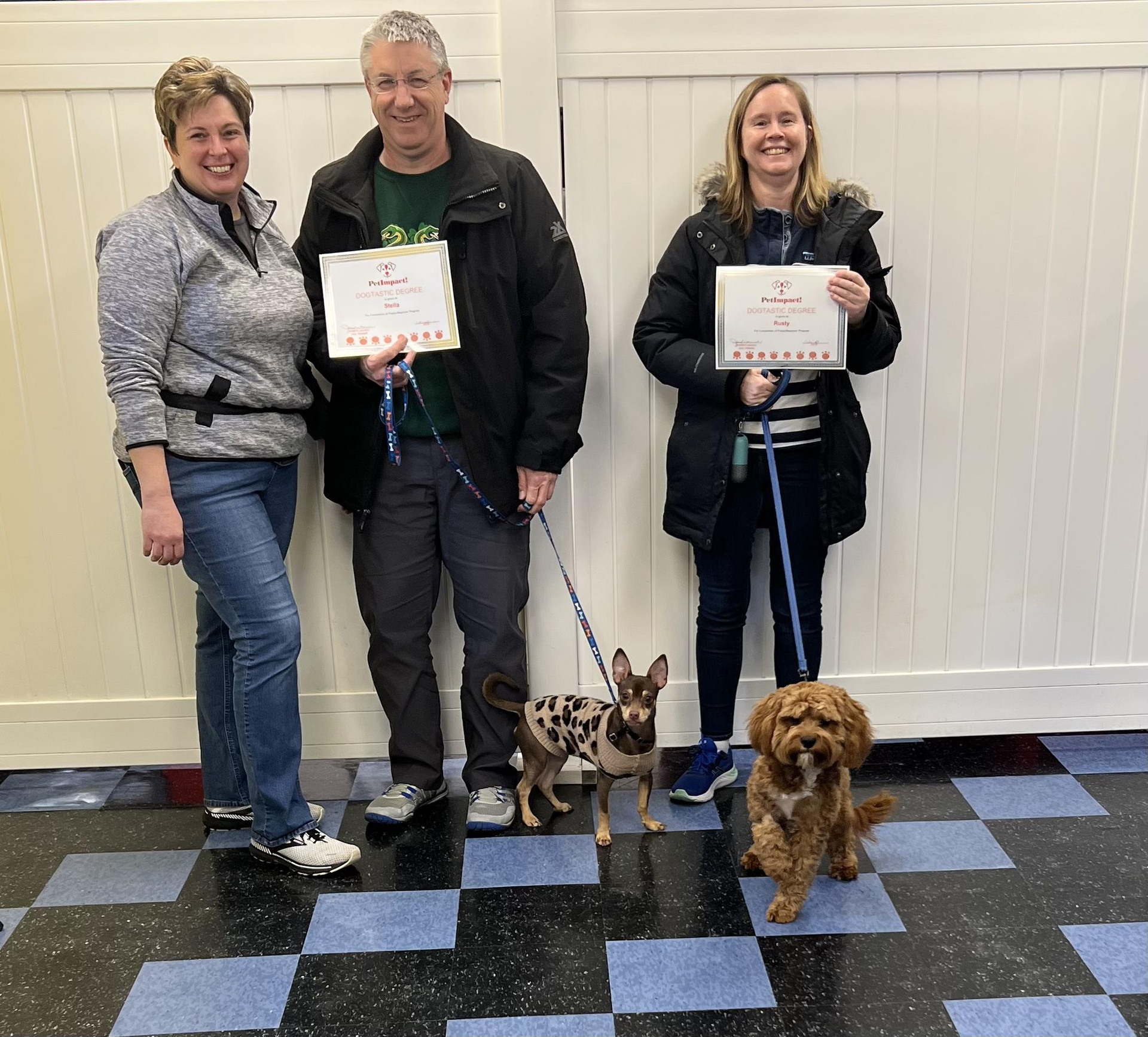 Happy Dog Owners — St. Louis, MO — PetImpact!