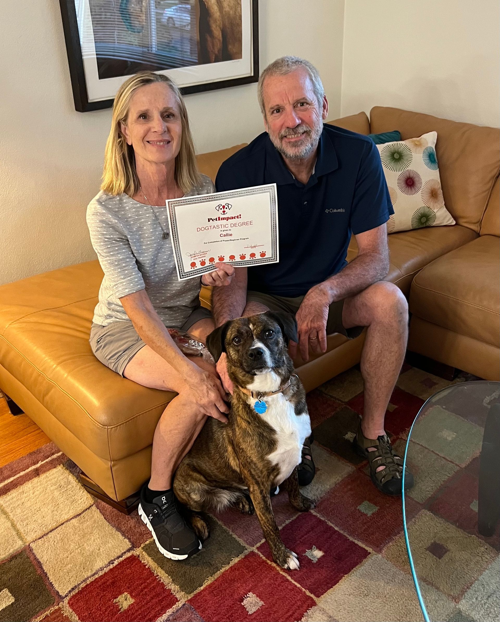Callie with Dogtastic Degree — St. Louis, MO — PetImpact!
