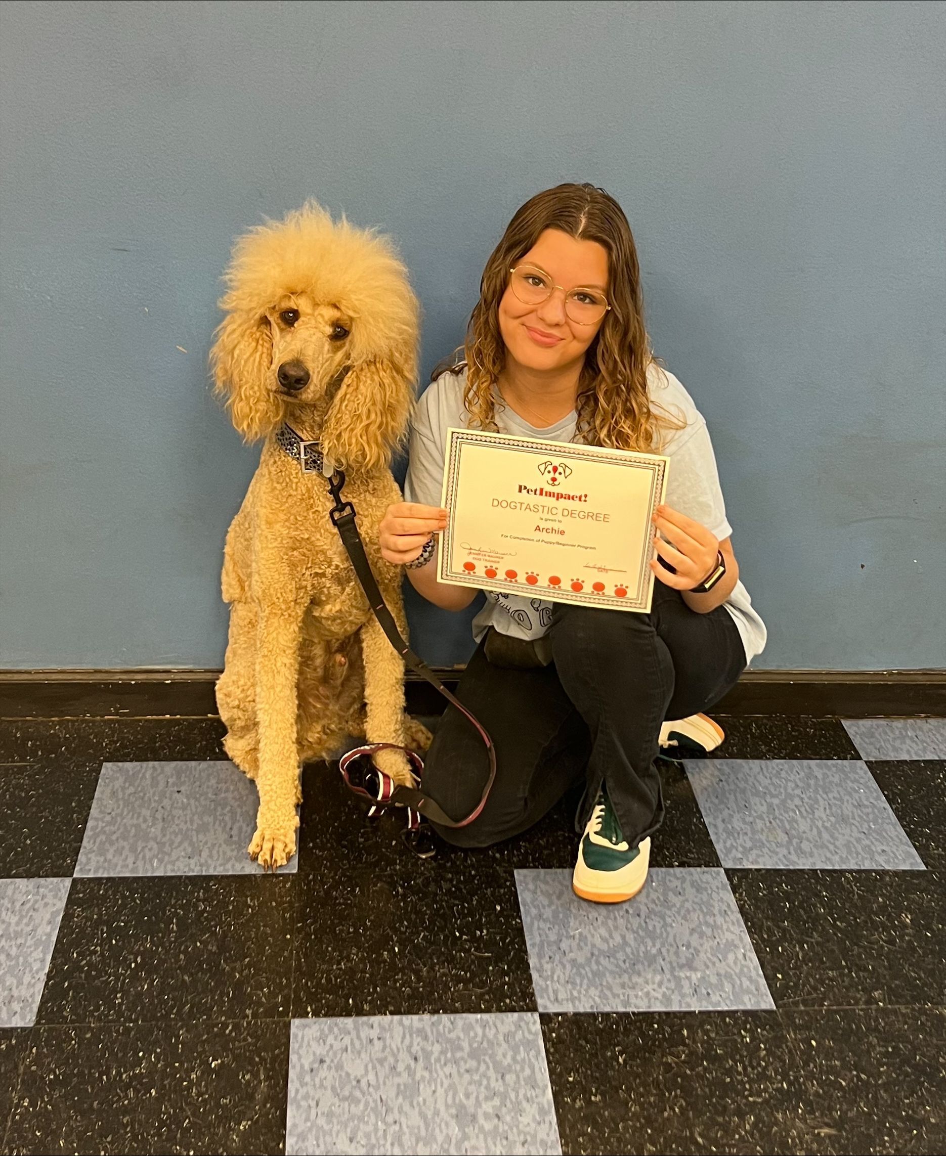 Person kneels next to a fluffy poodle, holding a certificate. They are in front of a blue wall and checkered floor.