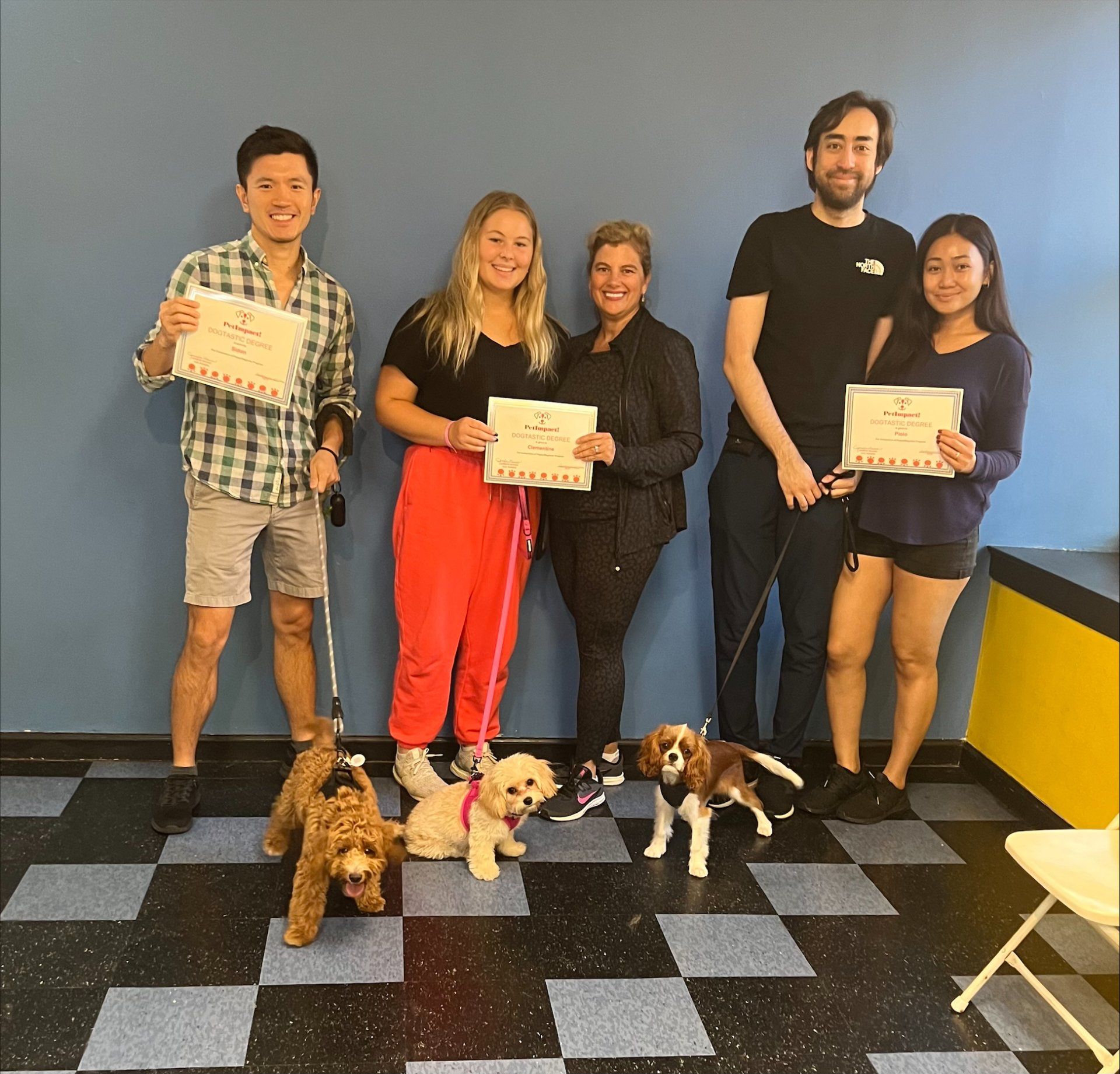 People and dogs pose with certificates in a dog training setting.