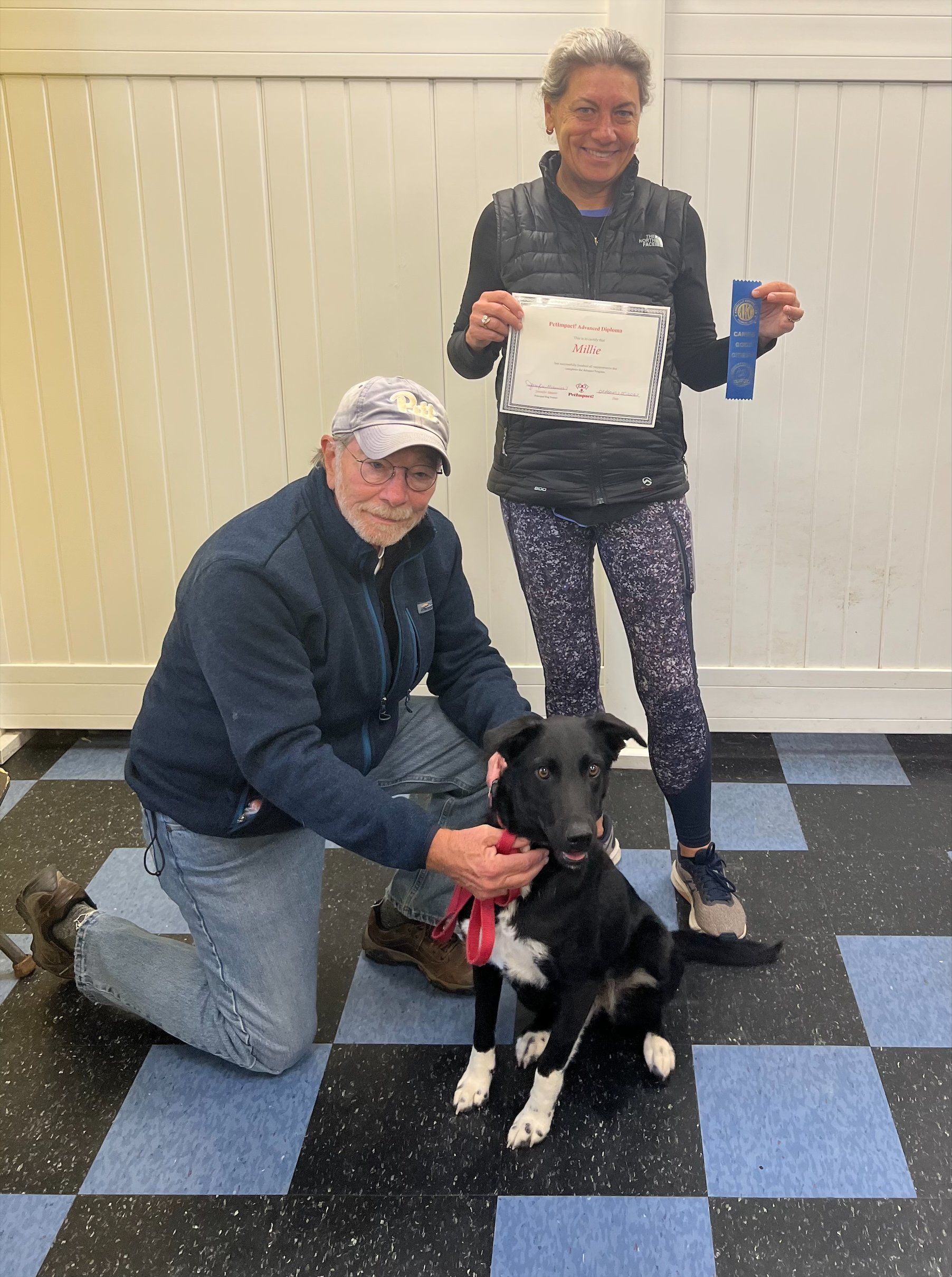 Millie — St. Louis, MO — PetImpact! Dog Training