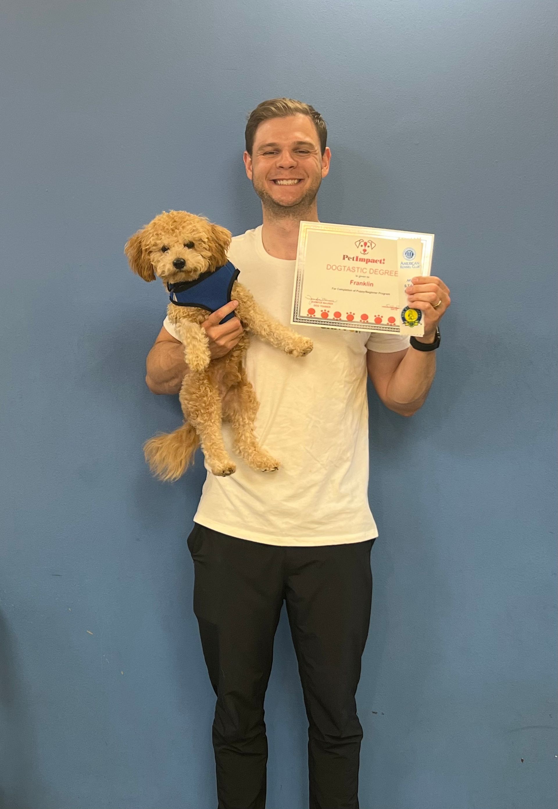 Graduate    — St. Louis, Mo — Petimpact!