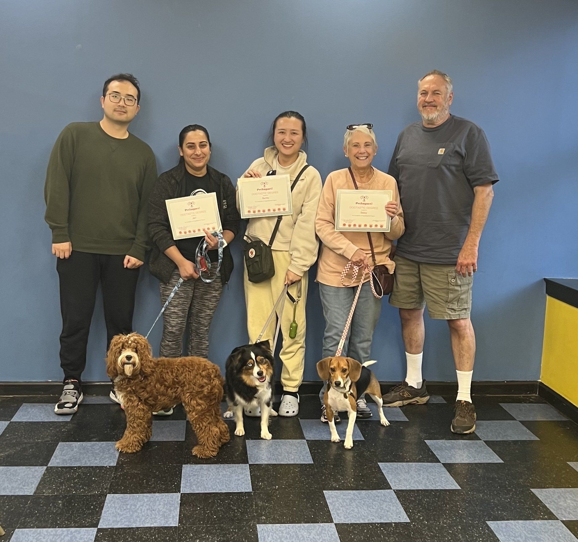 People with dogs holding certificates. A blue wall background.