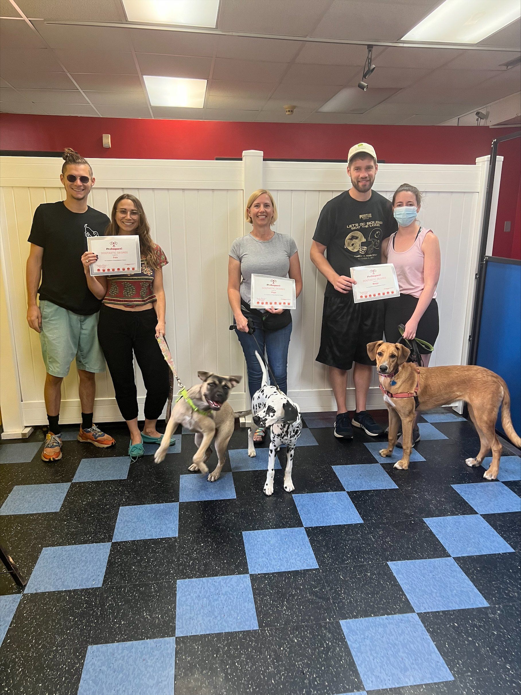 People and dogs pose for a photo in a dog training area. They hold certificates.