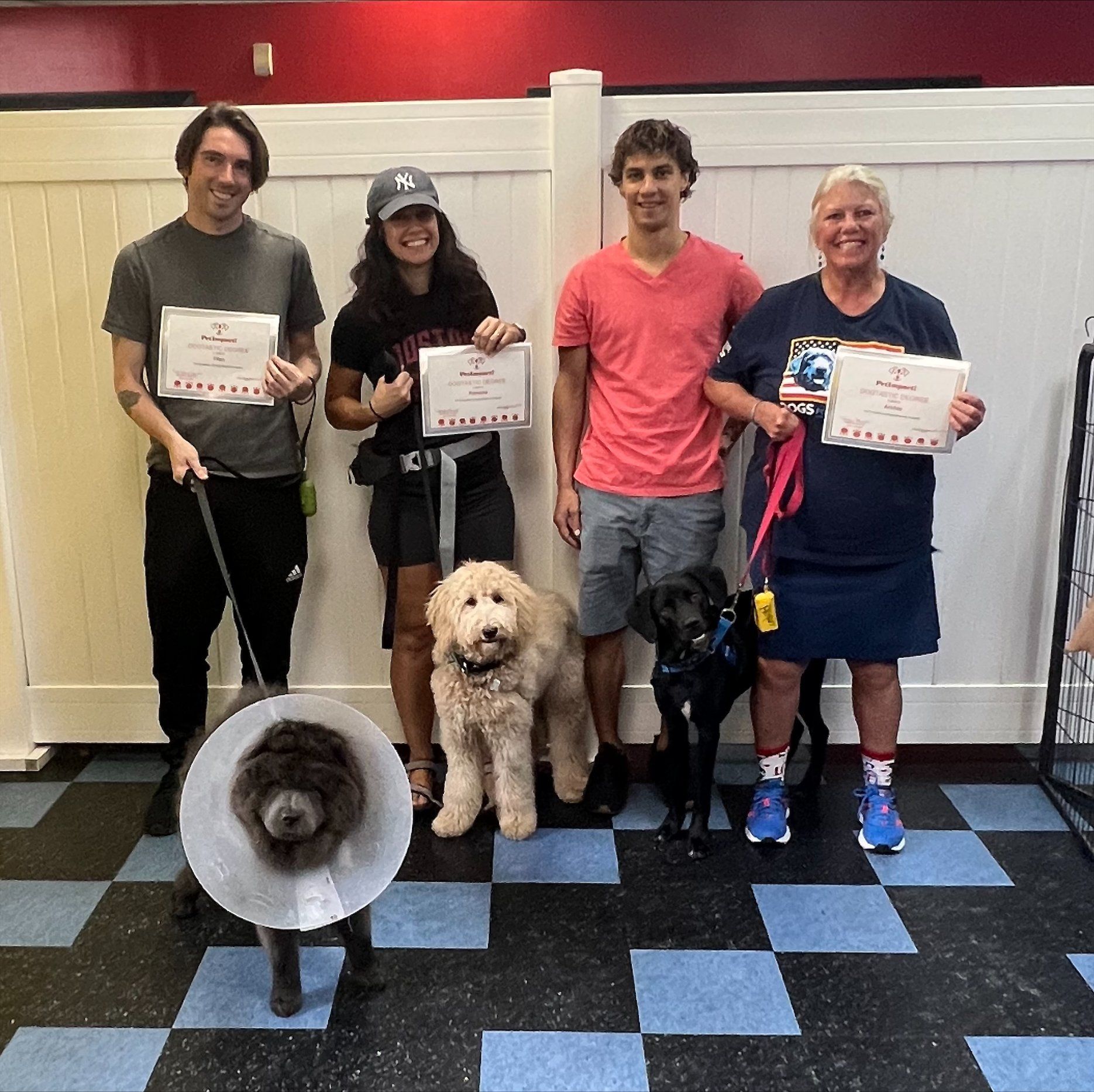 Group Photo — St. Louis, MO — PetImpact! Dog Training
