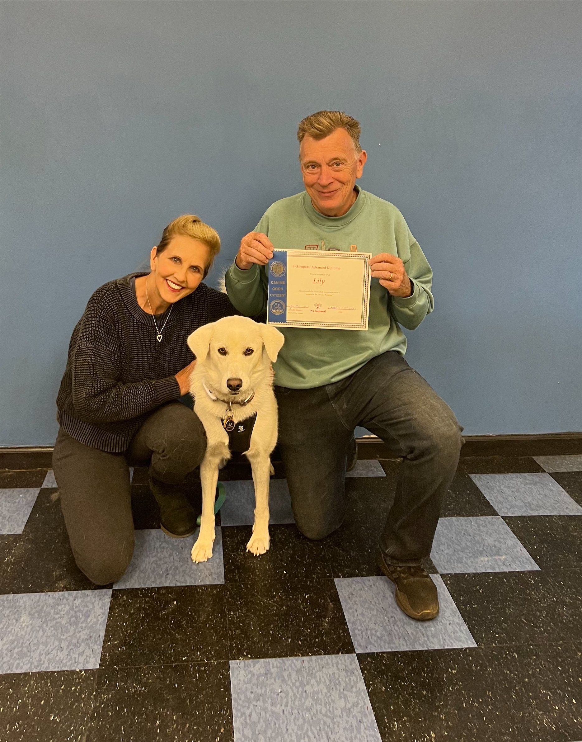 Lily — St. Louis, MO — PetImpact! Dog Training