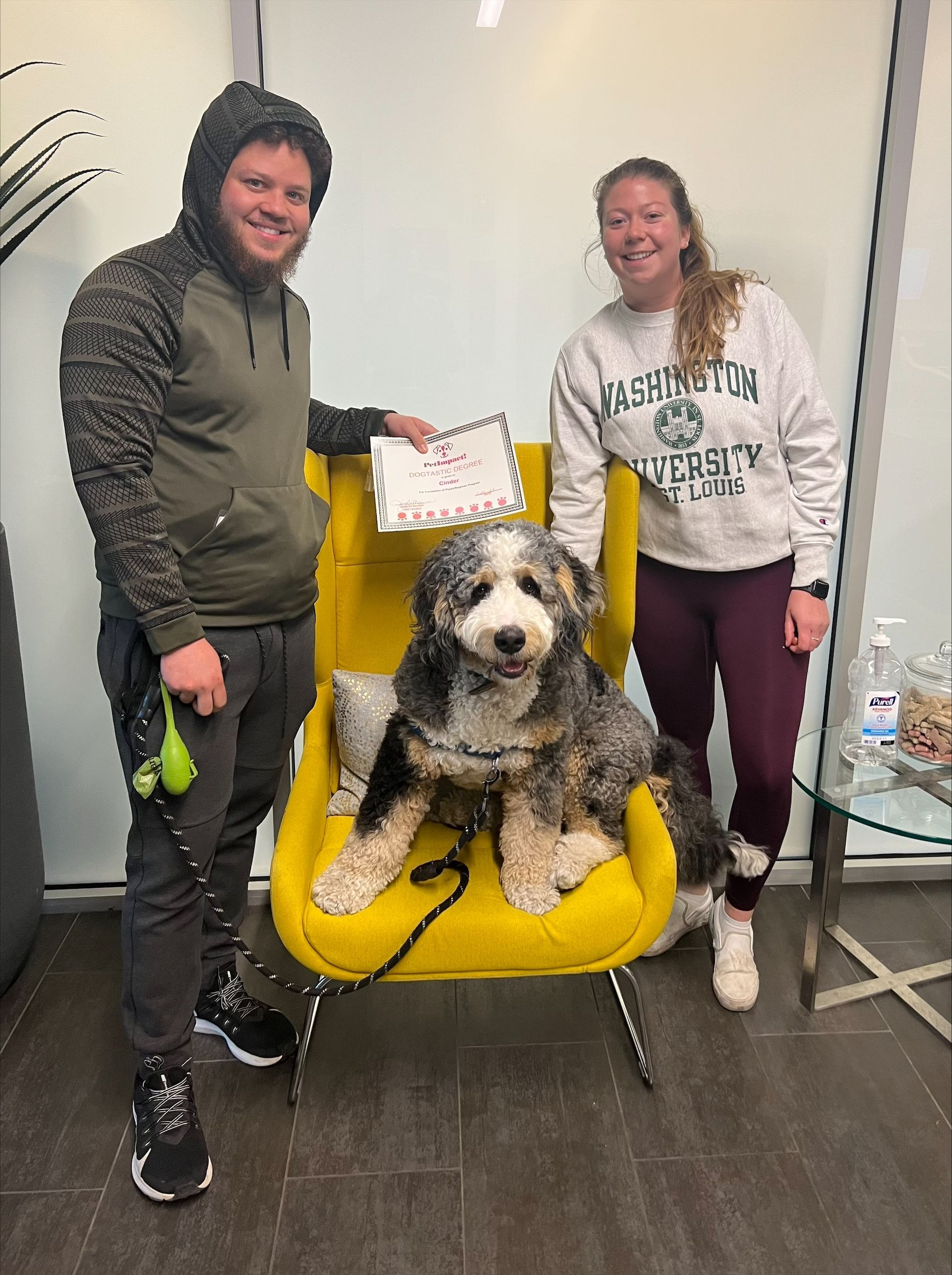 Dog Sitting with Owners — St. Louis, MO — PetImpact!