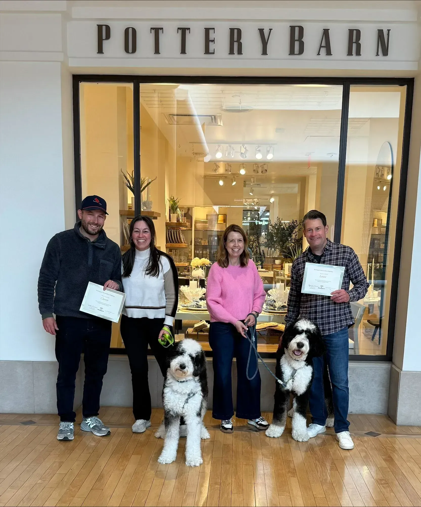 Dog Training Certificate — St. Louis, MO — PetImpact! Dog Training