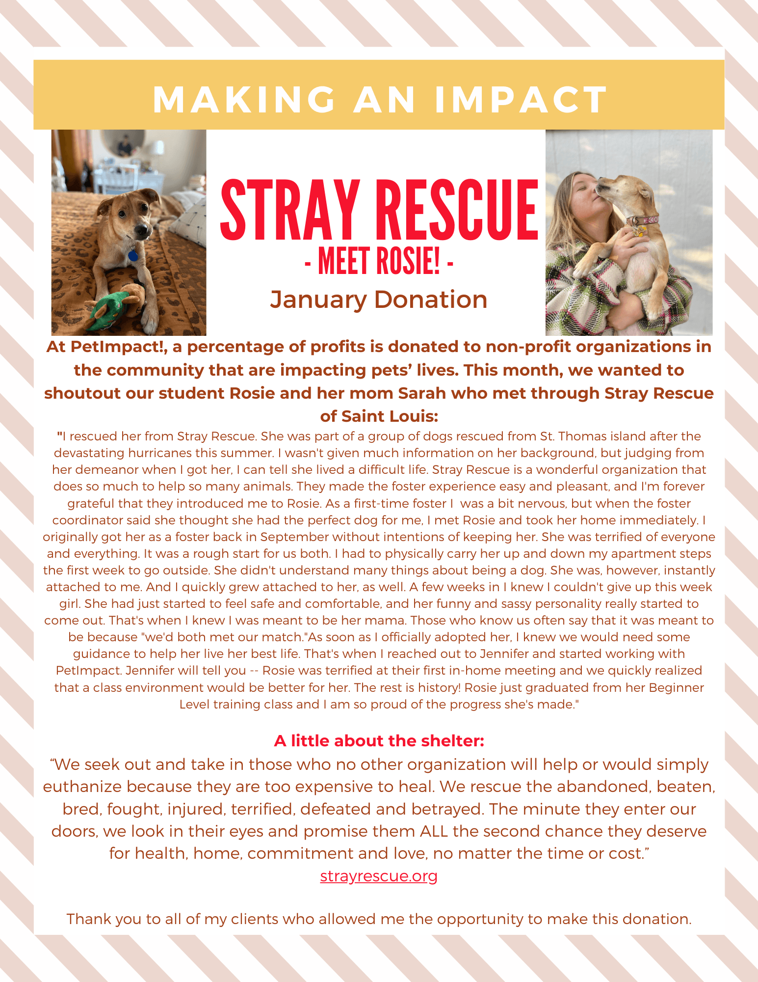 Poster about Stray Rescue. Includes a dog, a woman holding a dog, and text describing donations.