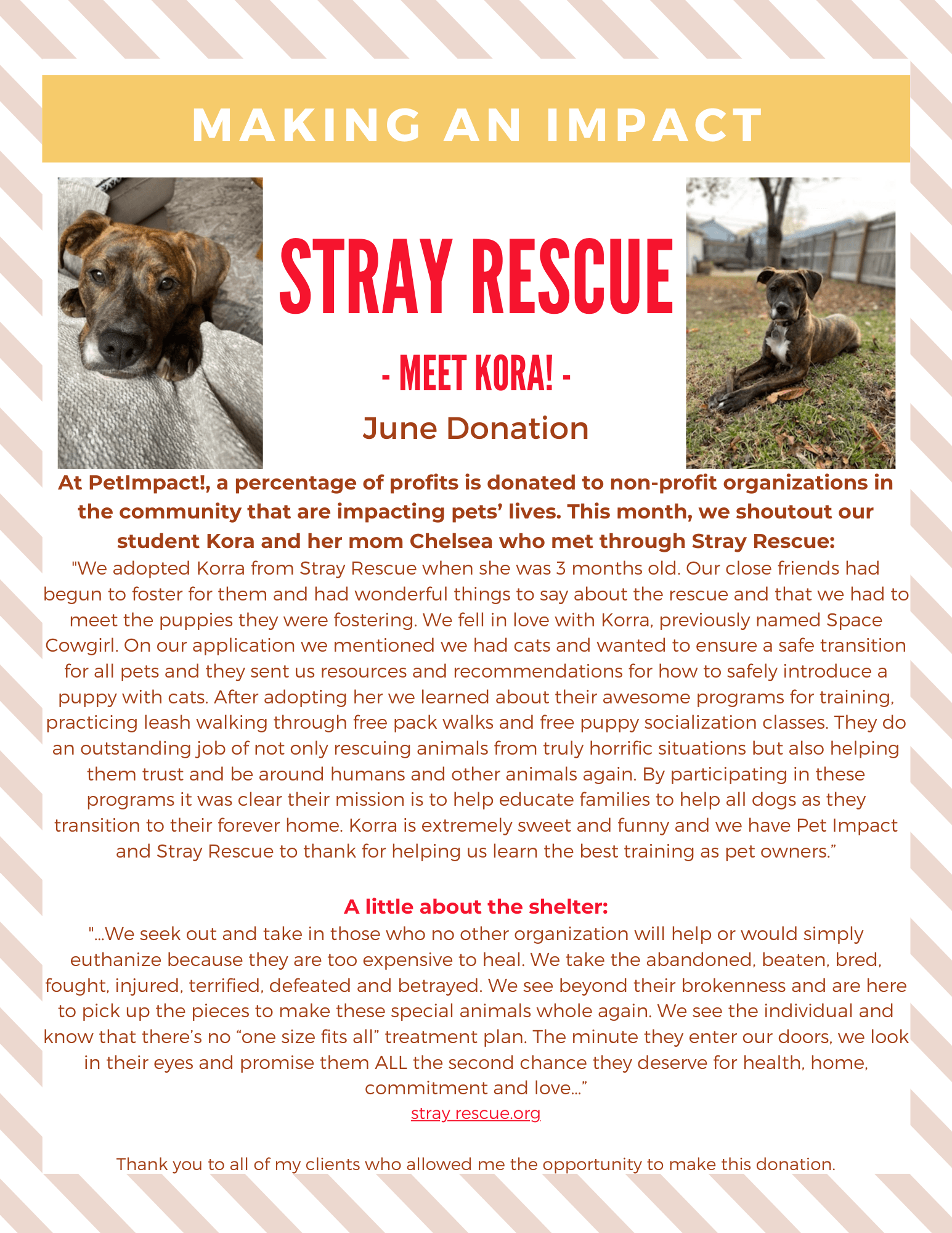 Flyer about Stray Rescue, featuring photos of a dog named Mora, and information about the organization.