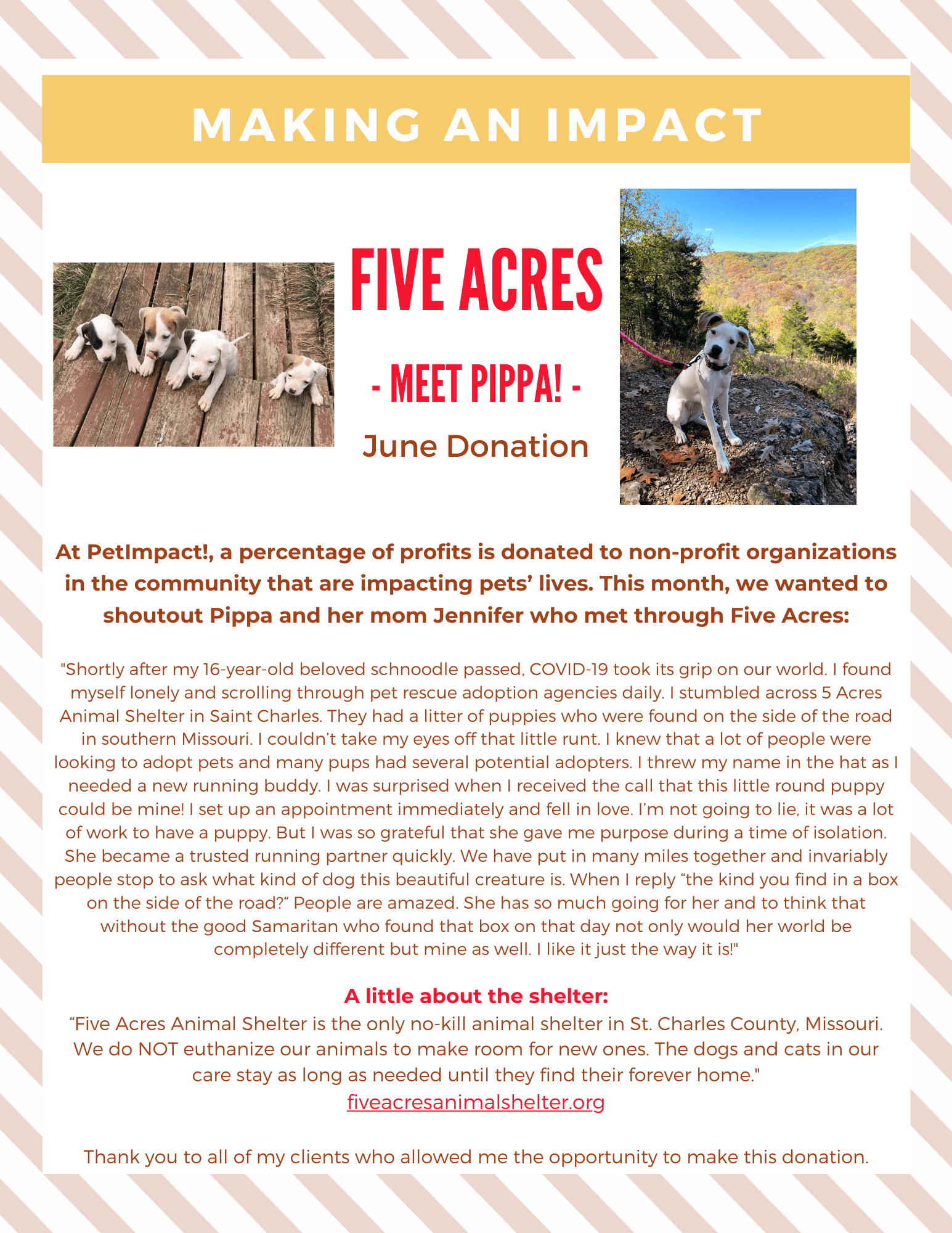Five Acres donation announcement with puppy photos and details about the organization.