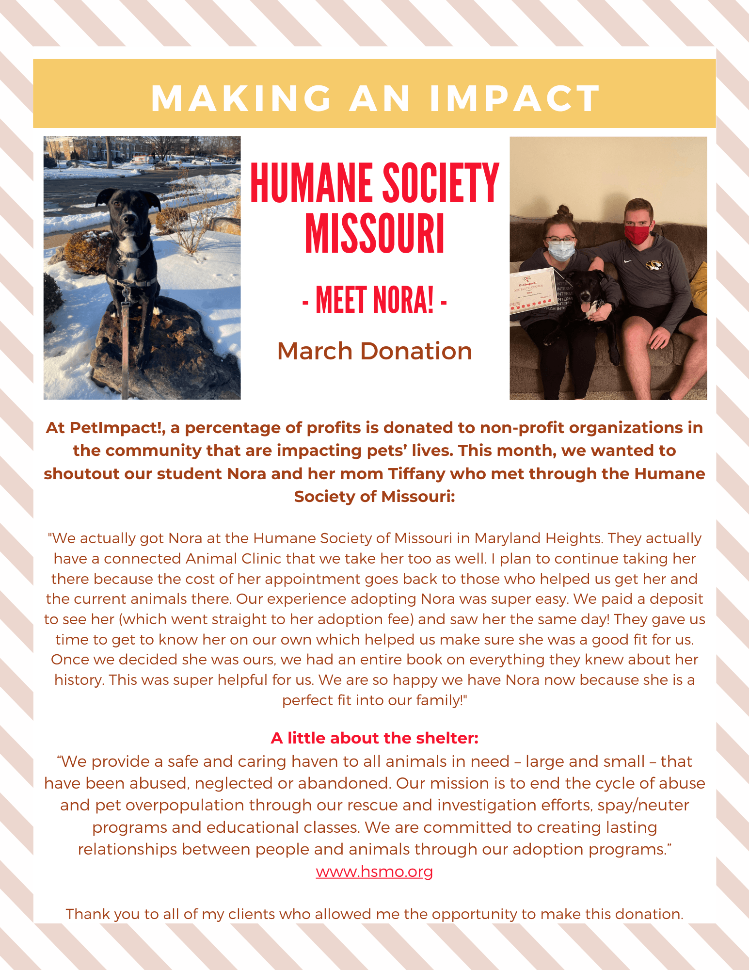 Flyer for March donation to Humane Society Missouri; Nora the dog, people with gifts, text about helping.