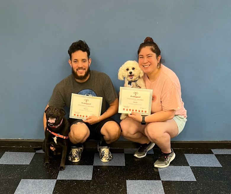 A small dog is holding a soccer ball in its mouth.