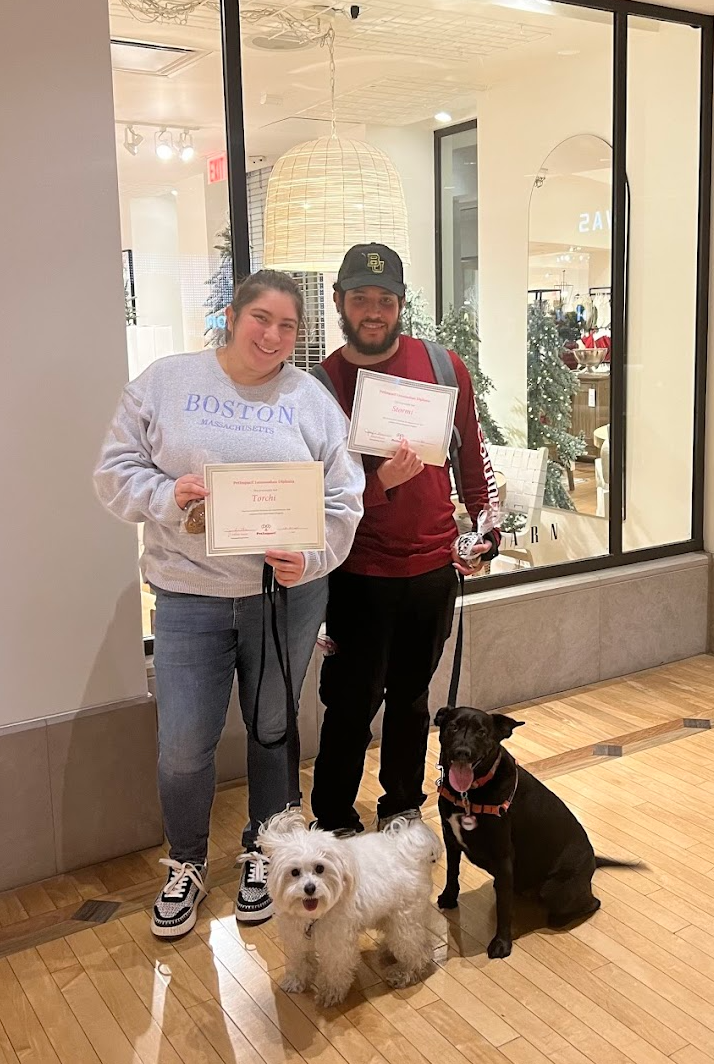 A woman standing next to a small dog holding a certificate
