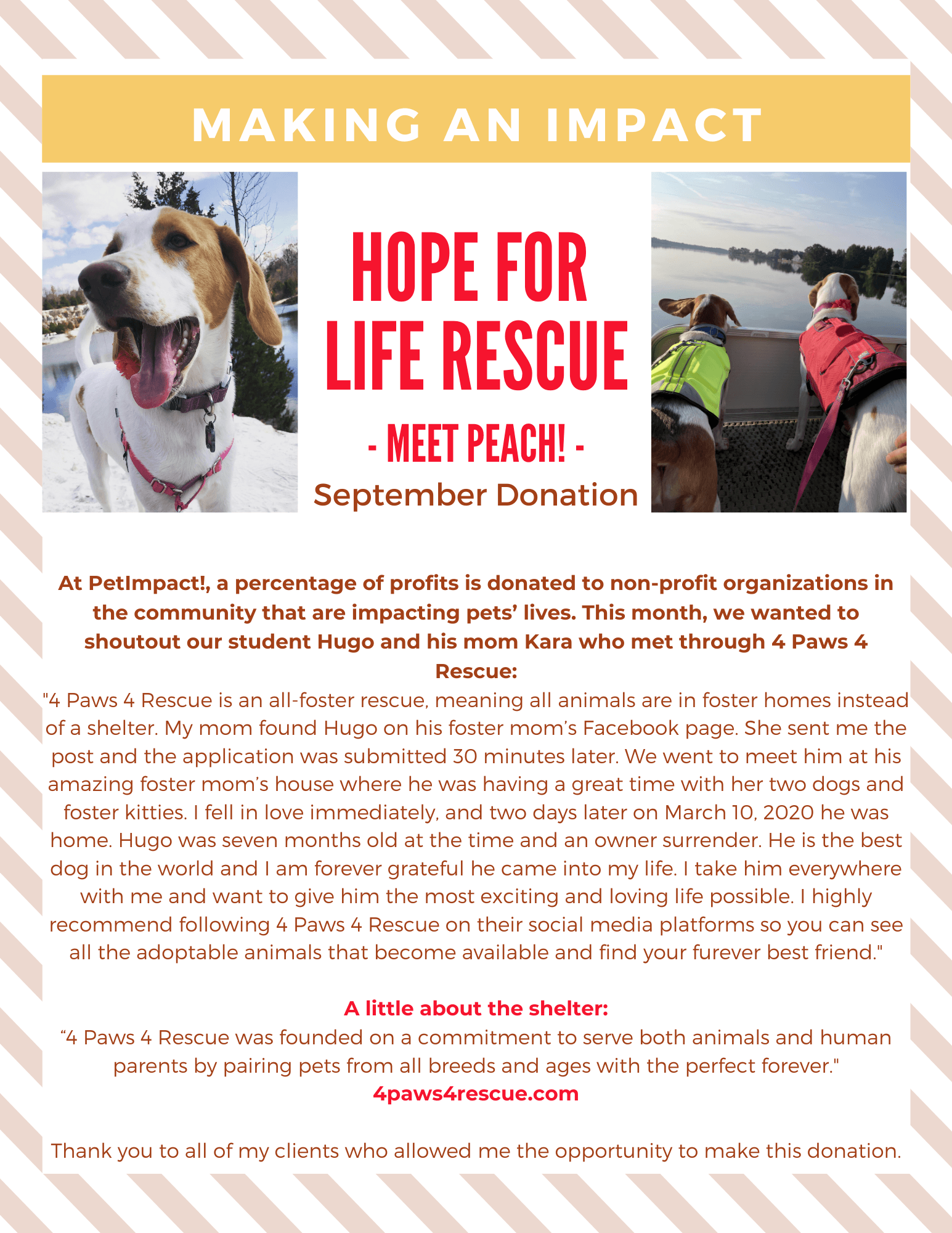 Poster for Hope for Life Rescue, featuring a dog named Peach. Text announces the September donation and the rescue's mission.