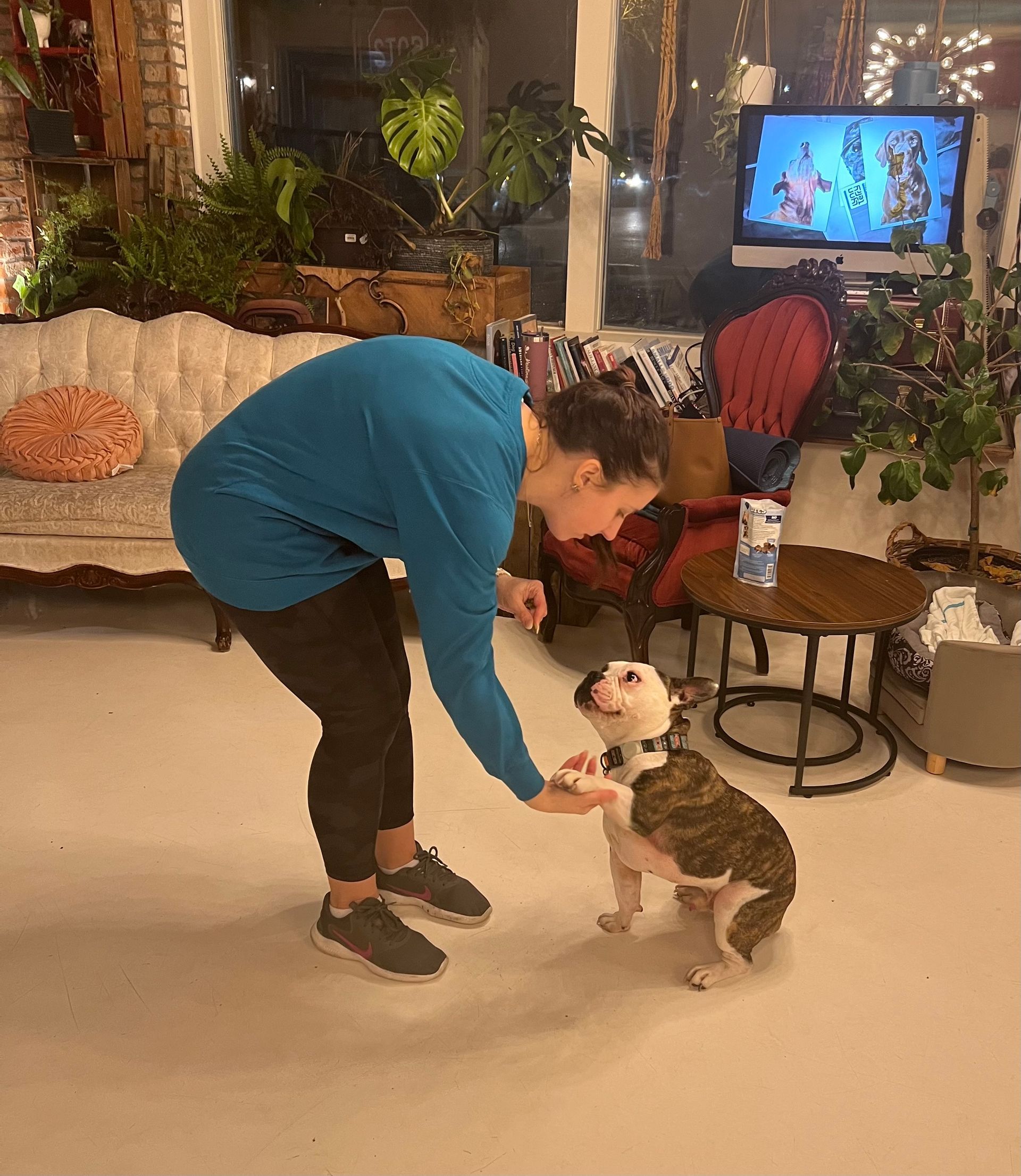 Beautiful Woman with her Dog — St. Louis, MO — PetImpact! Dog Training