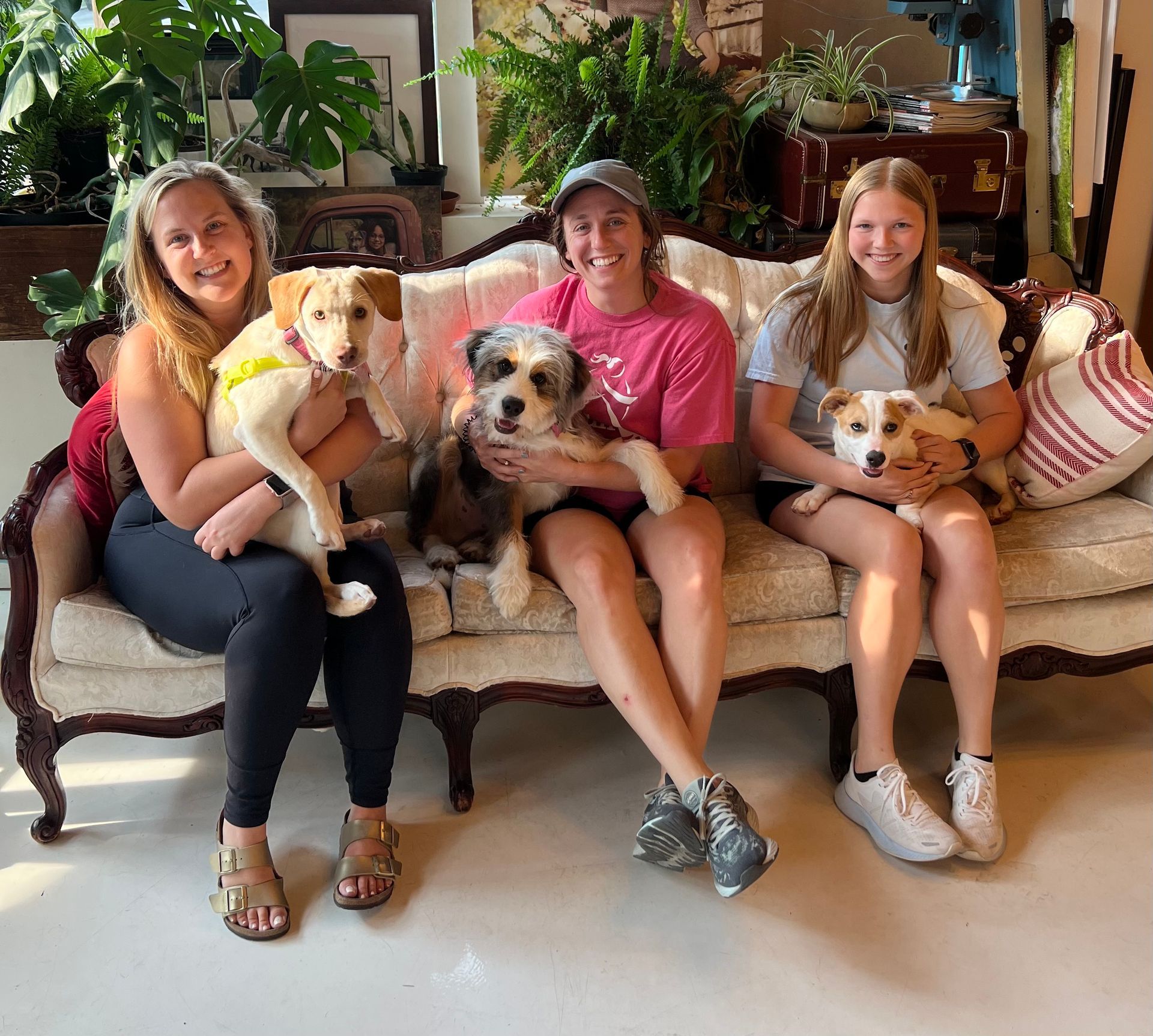 Three Girls Holding Their Dogs | St. Louis, MO | PetImpact!