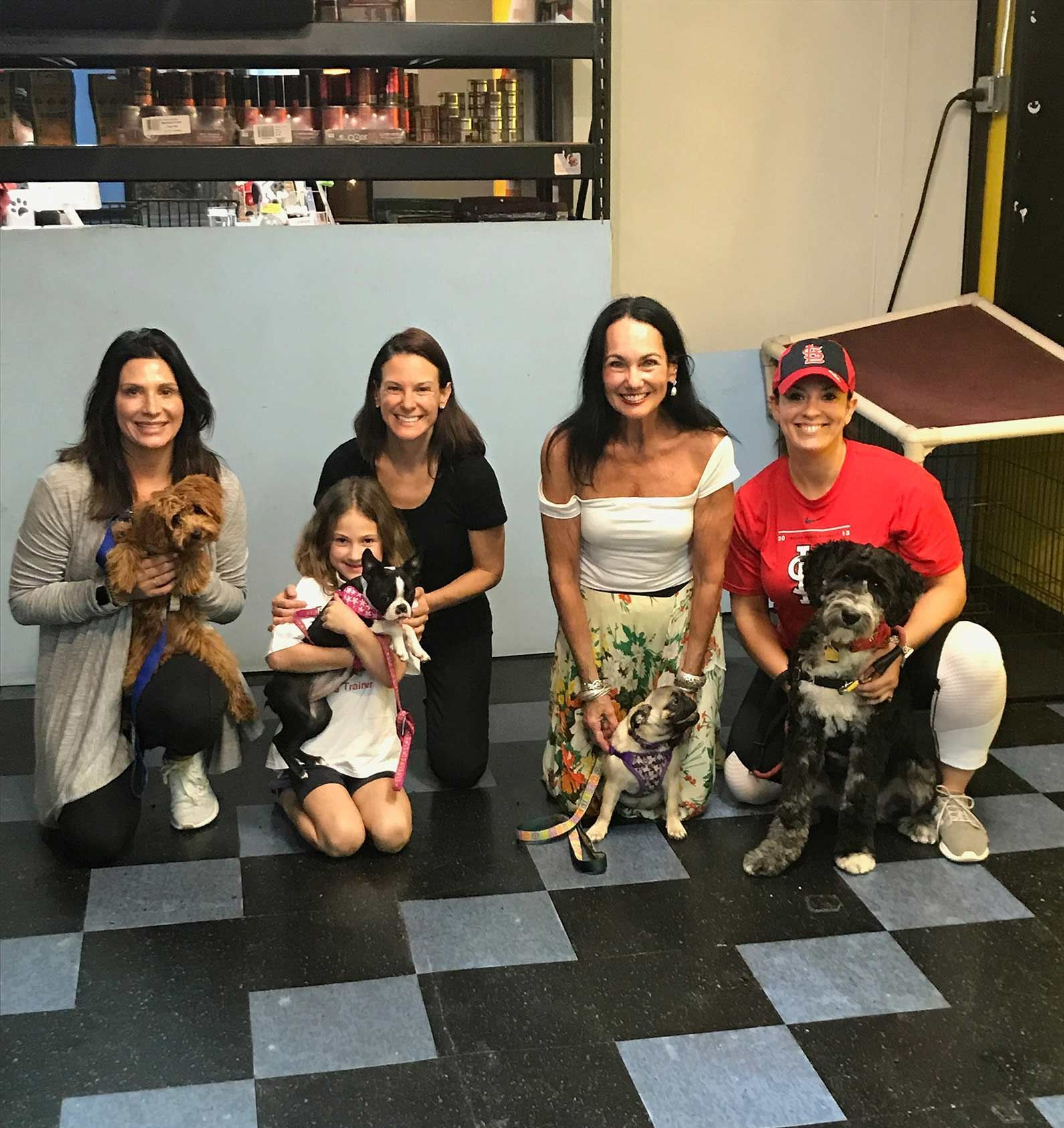 Happy People on Dogs Training Class — St. Louis, MO — PetImpact! Dog Training