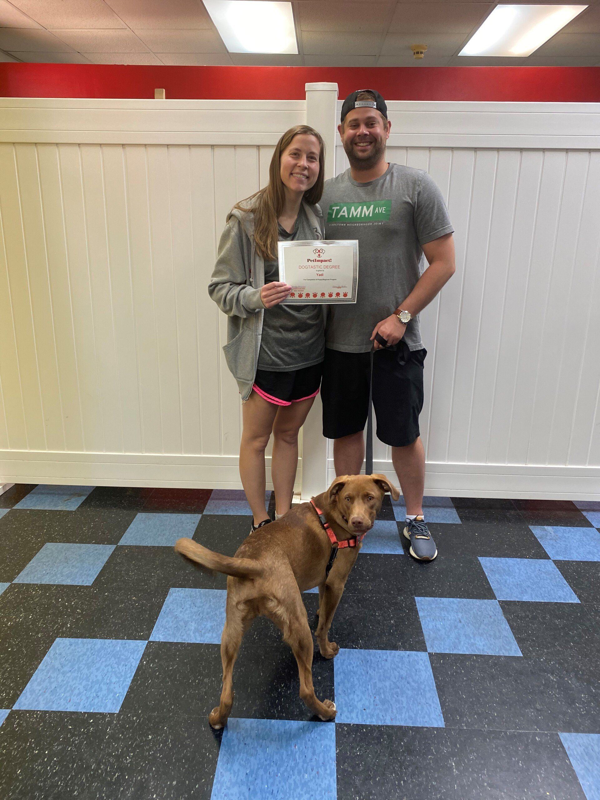 Woman and man with their dog, holding certificate. They stand in front of a white wall with red trim; blue, black, and white floor.