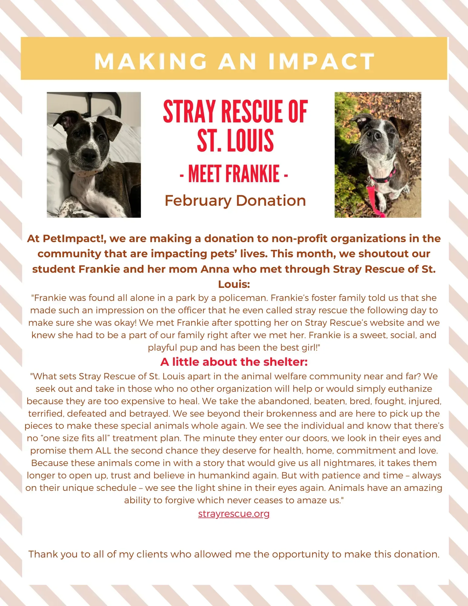 February 2024 Donations — St. Louis, MO — PetImpact! Dog Training