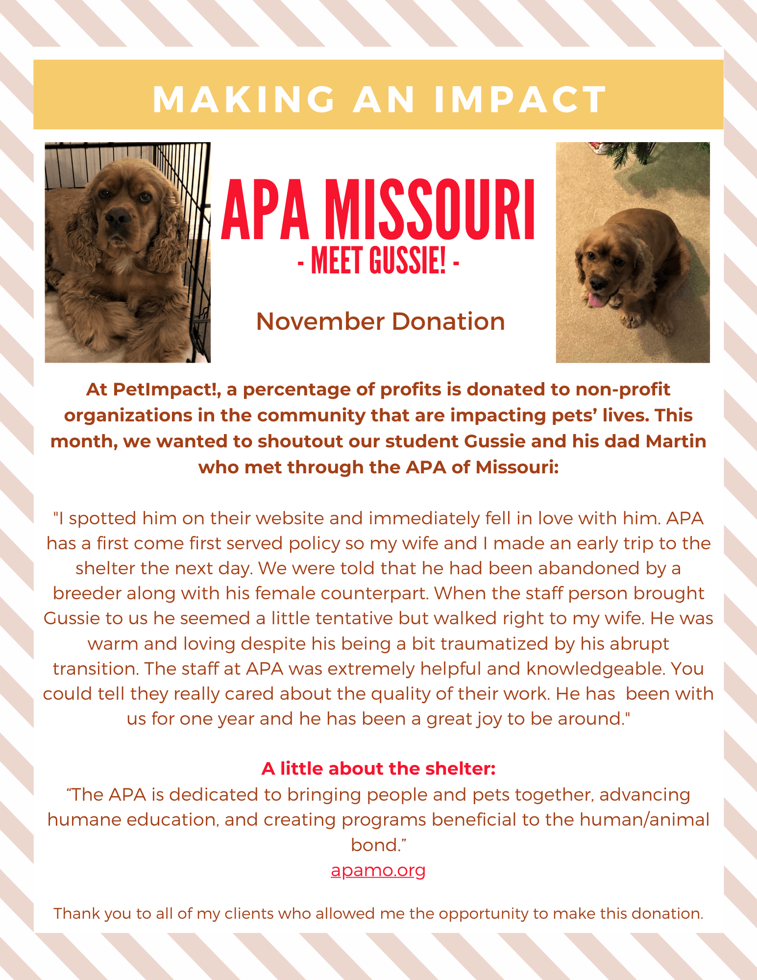 Flyer with two dog photos and text about the APA of Missouri, a pet organization.