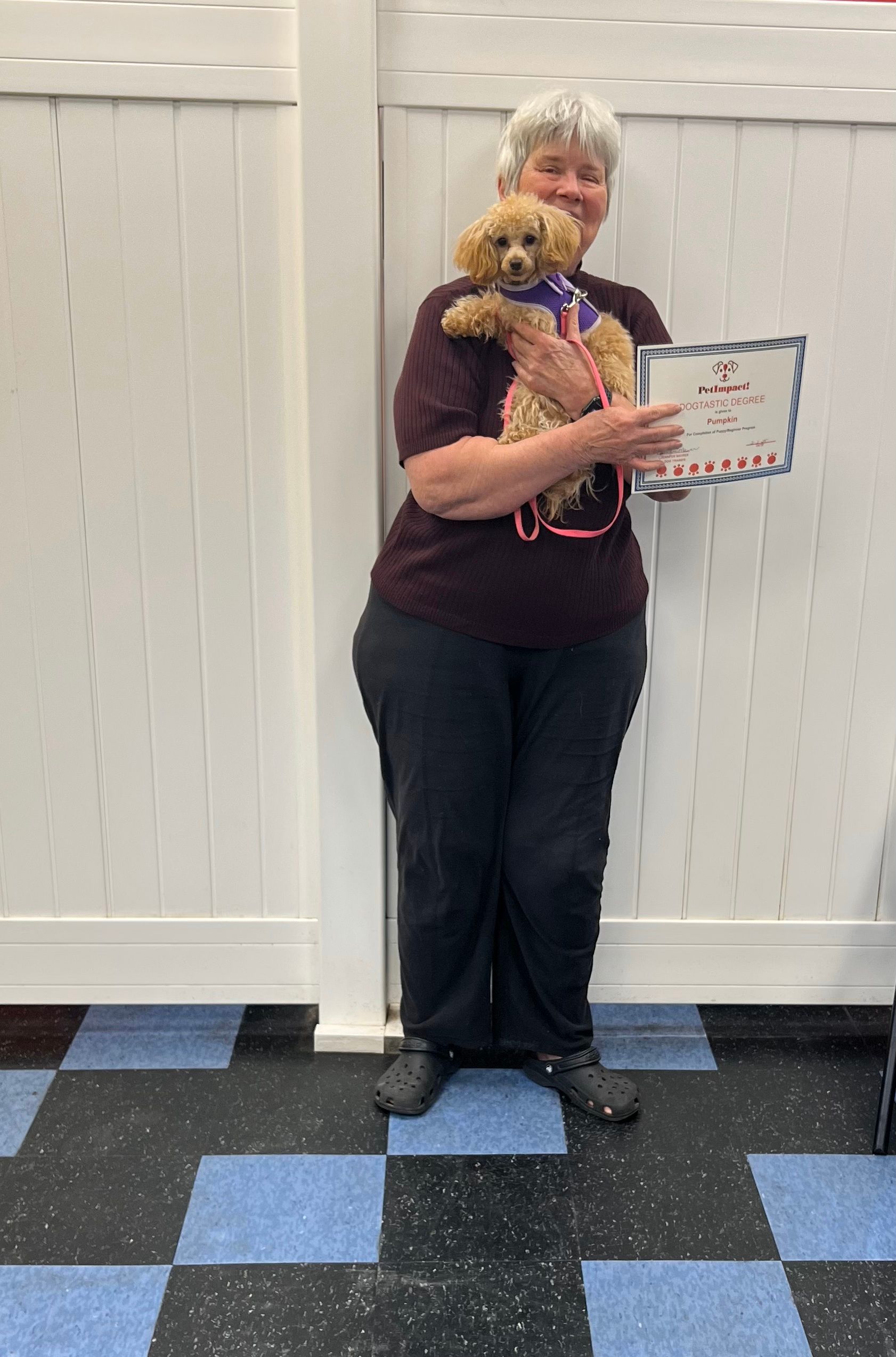 A woman is holding a small dog and holding a certificate.