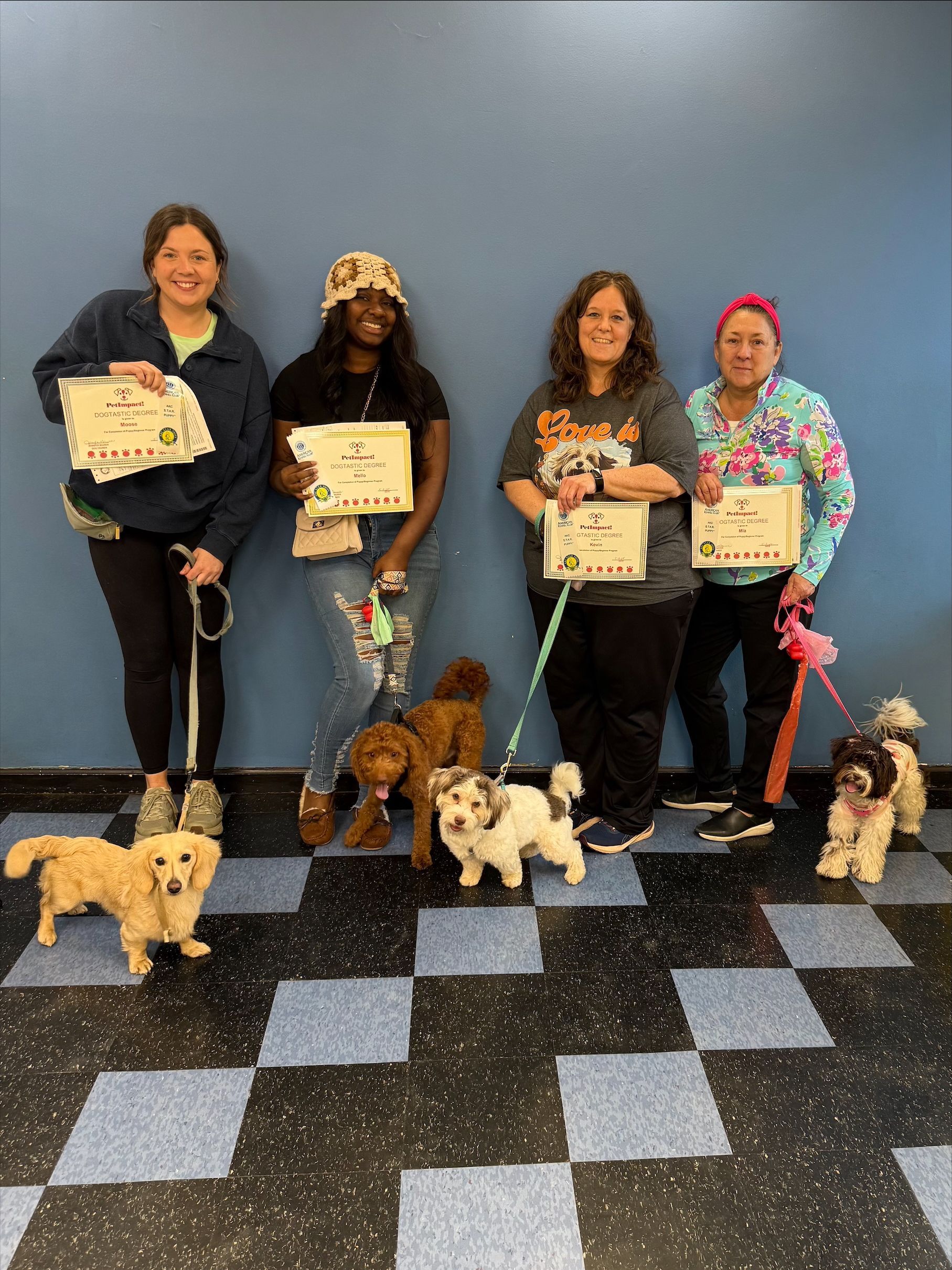 A group of women standing next to small dogs holding certificates.