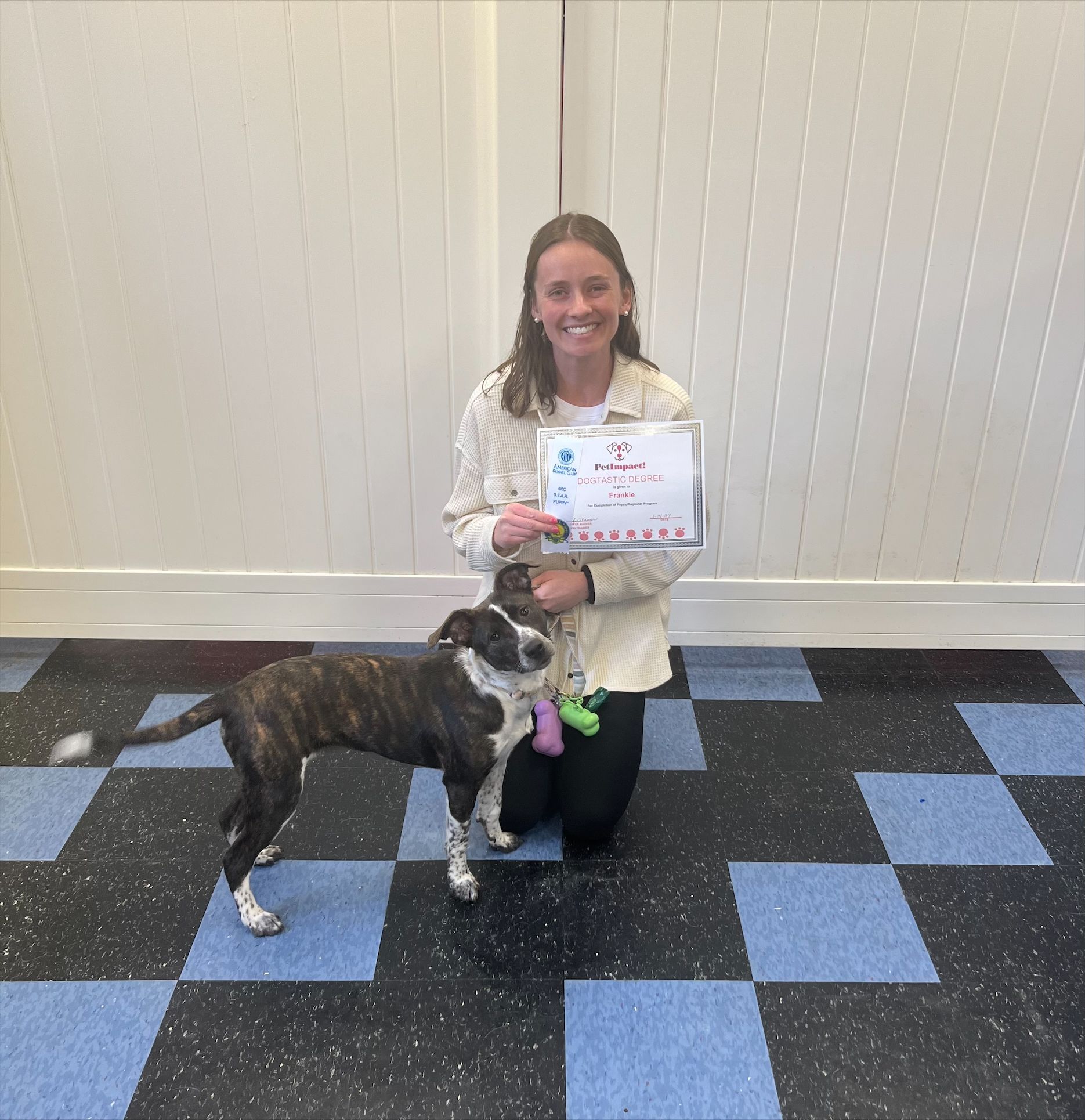 Pretty Woman Dog Owner Holding A Certificate — St. Louis, MO — PetImpact!