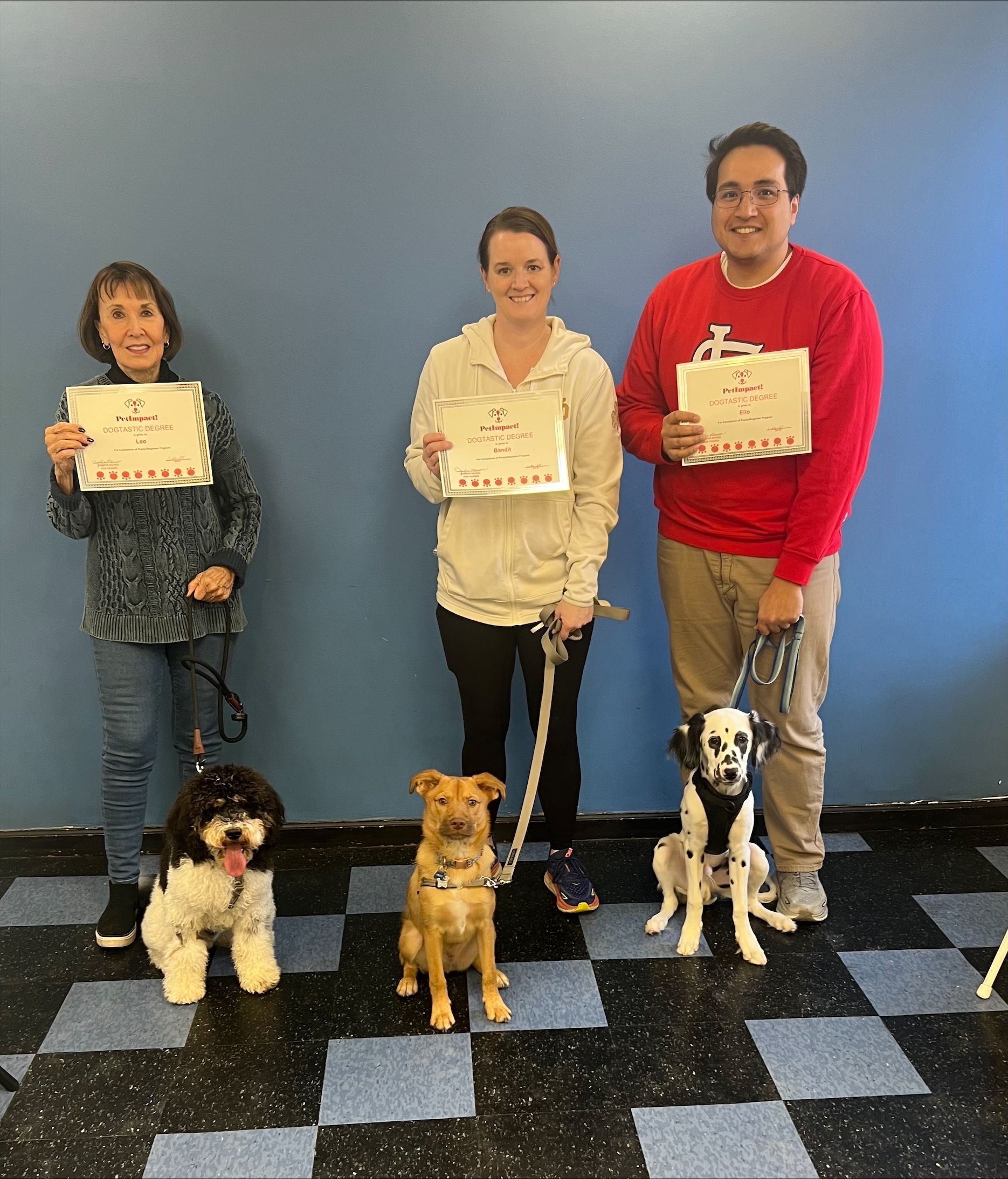 A group of people standing next to their dogs holding certificates.