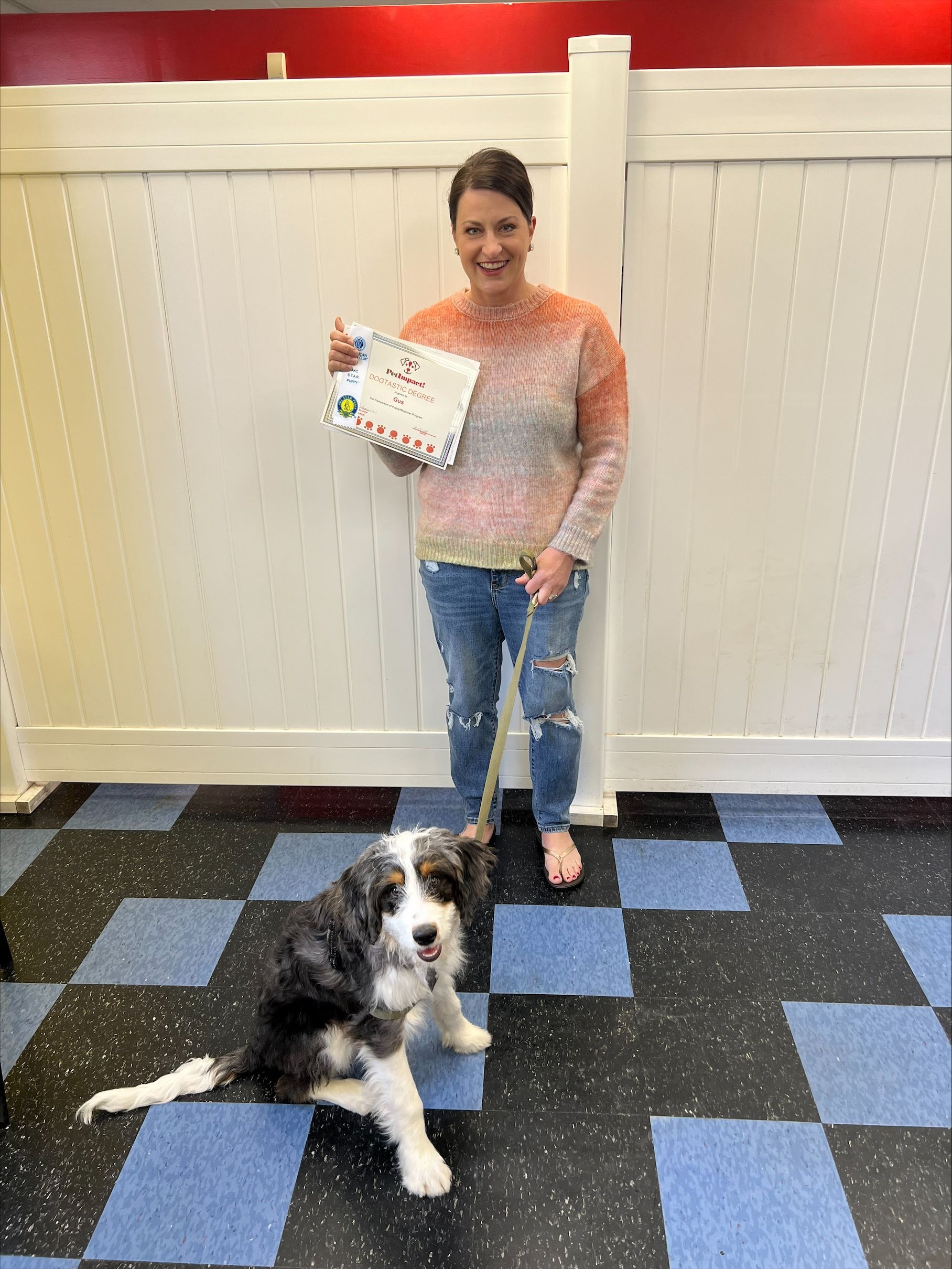 Gus — St. Louis, MO — PetImpact!